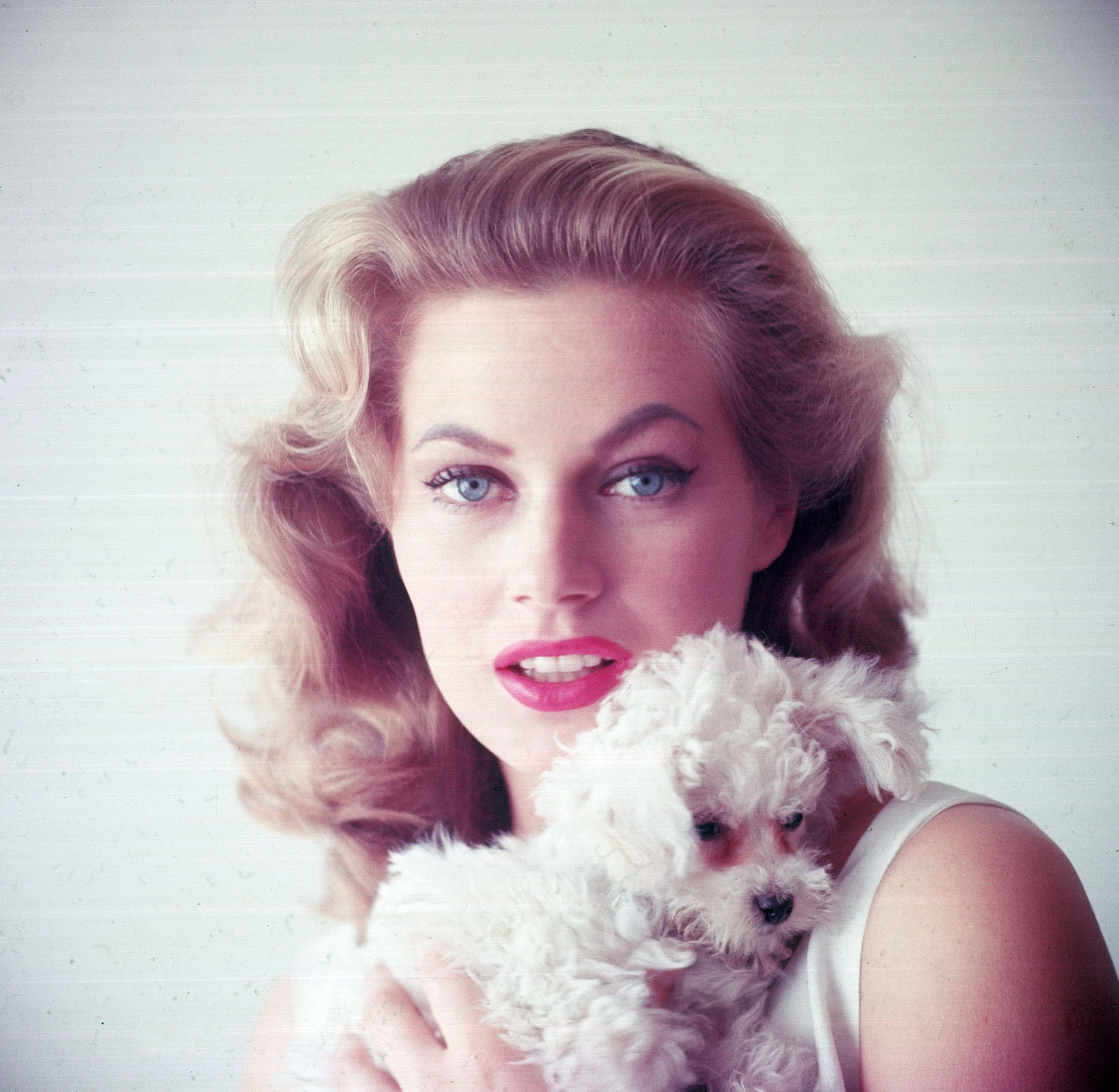 Swedish-born actress Anita Ekberg holding small dog, 1955.