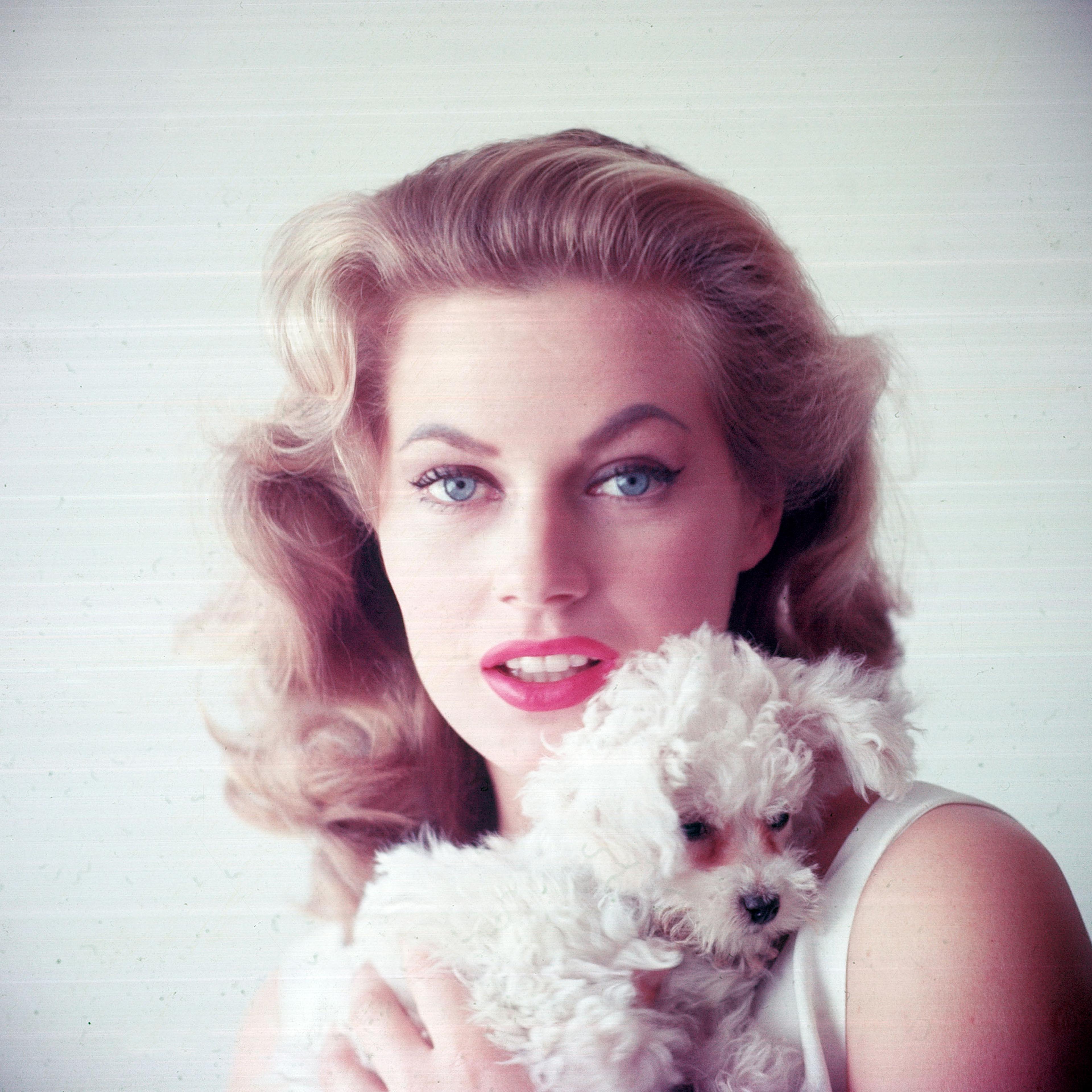 Swedish-born actress Anita Ekberg holding small dog, 1955.
