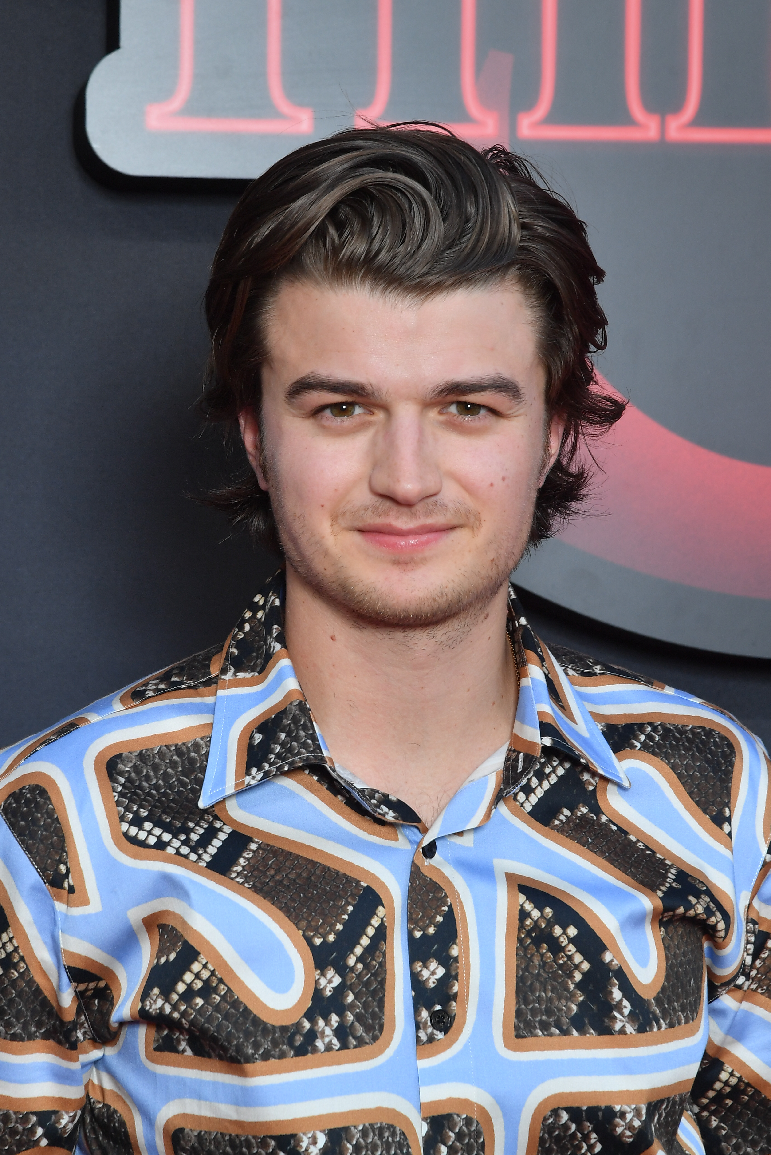Joe Keery's Haircut is Too Much