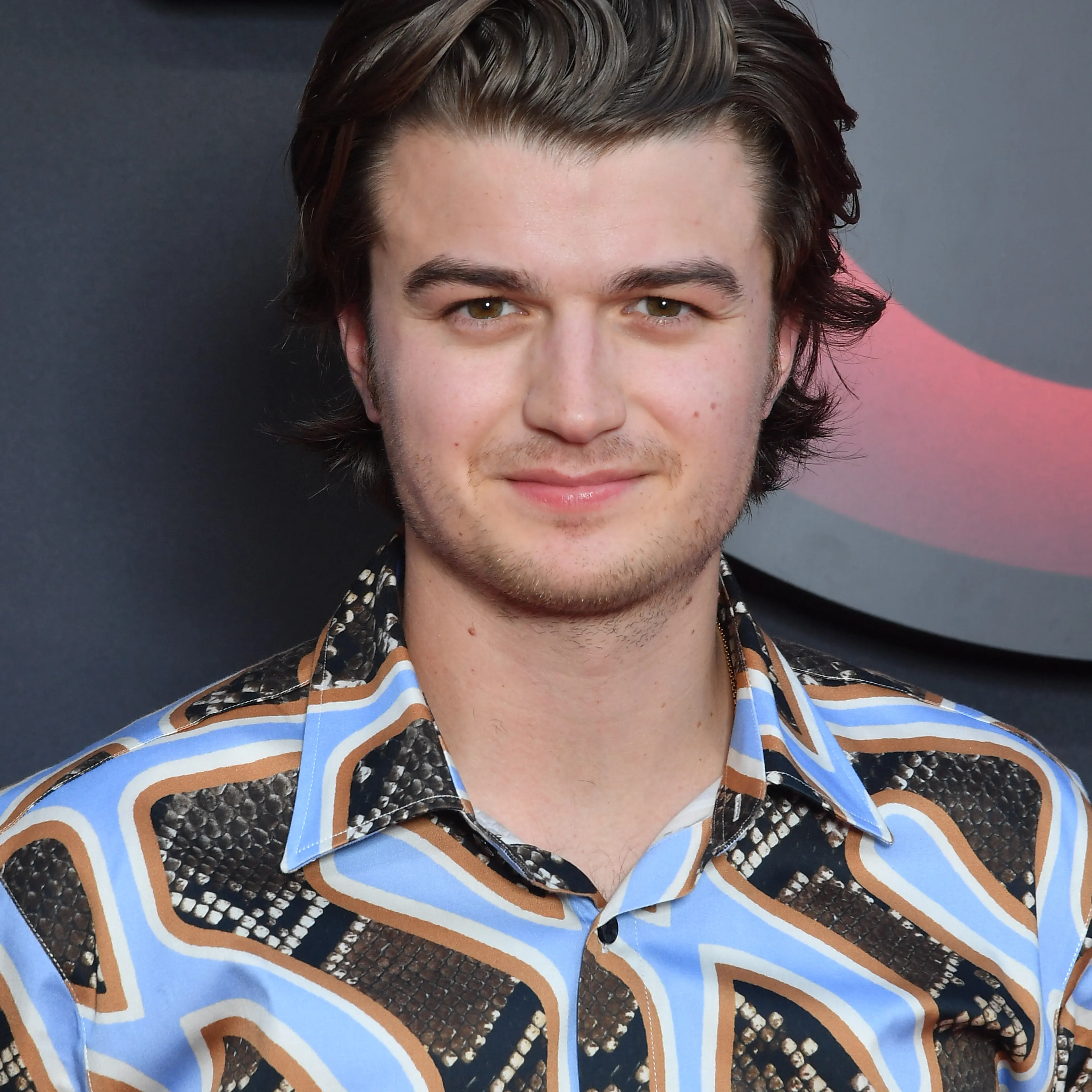 Joe Keery's Haircut is Too Much