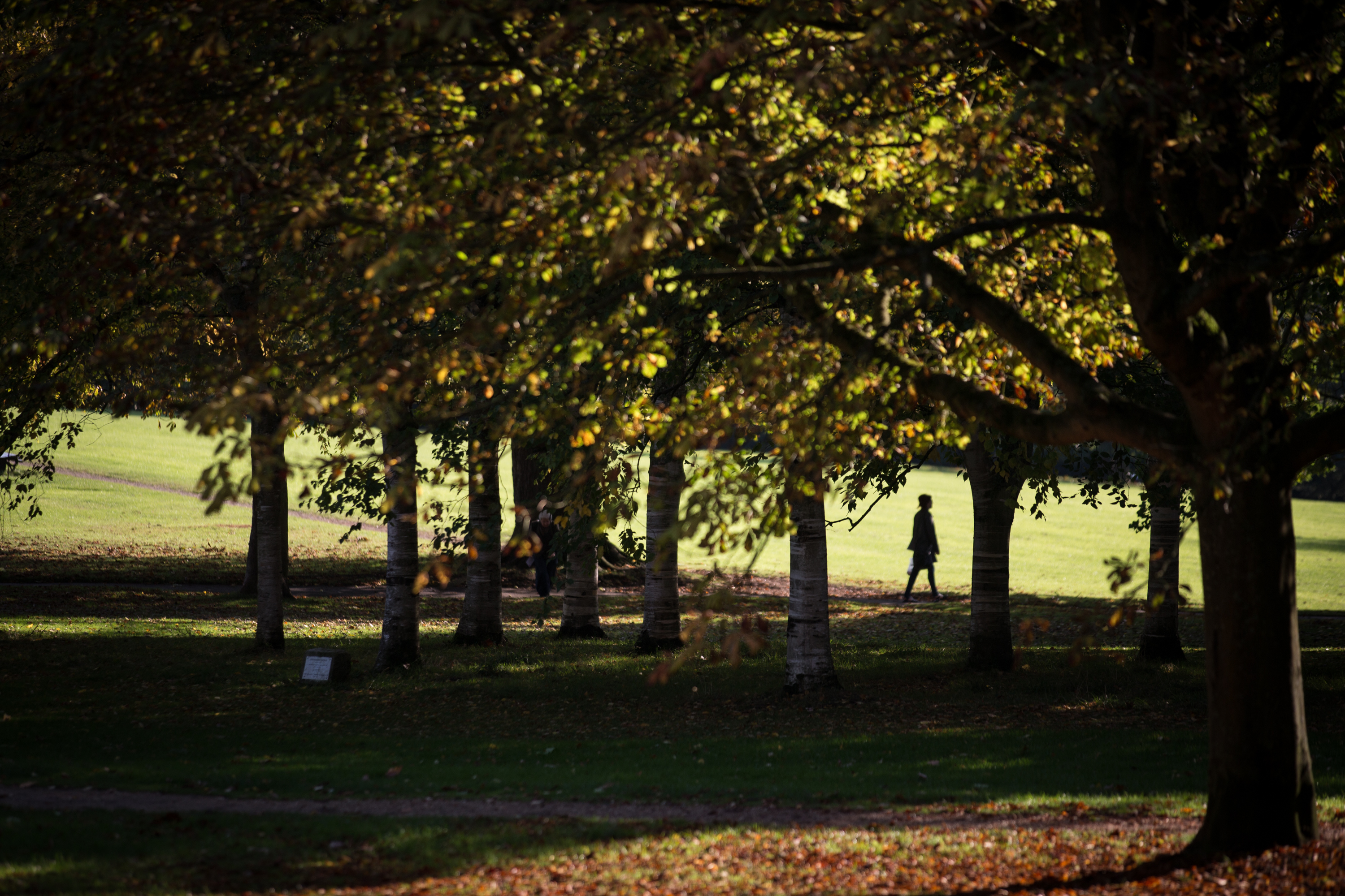 Autumn Colours Begin To Show In The UK