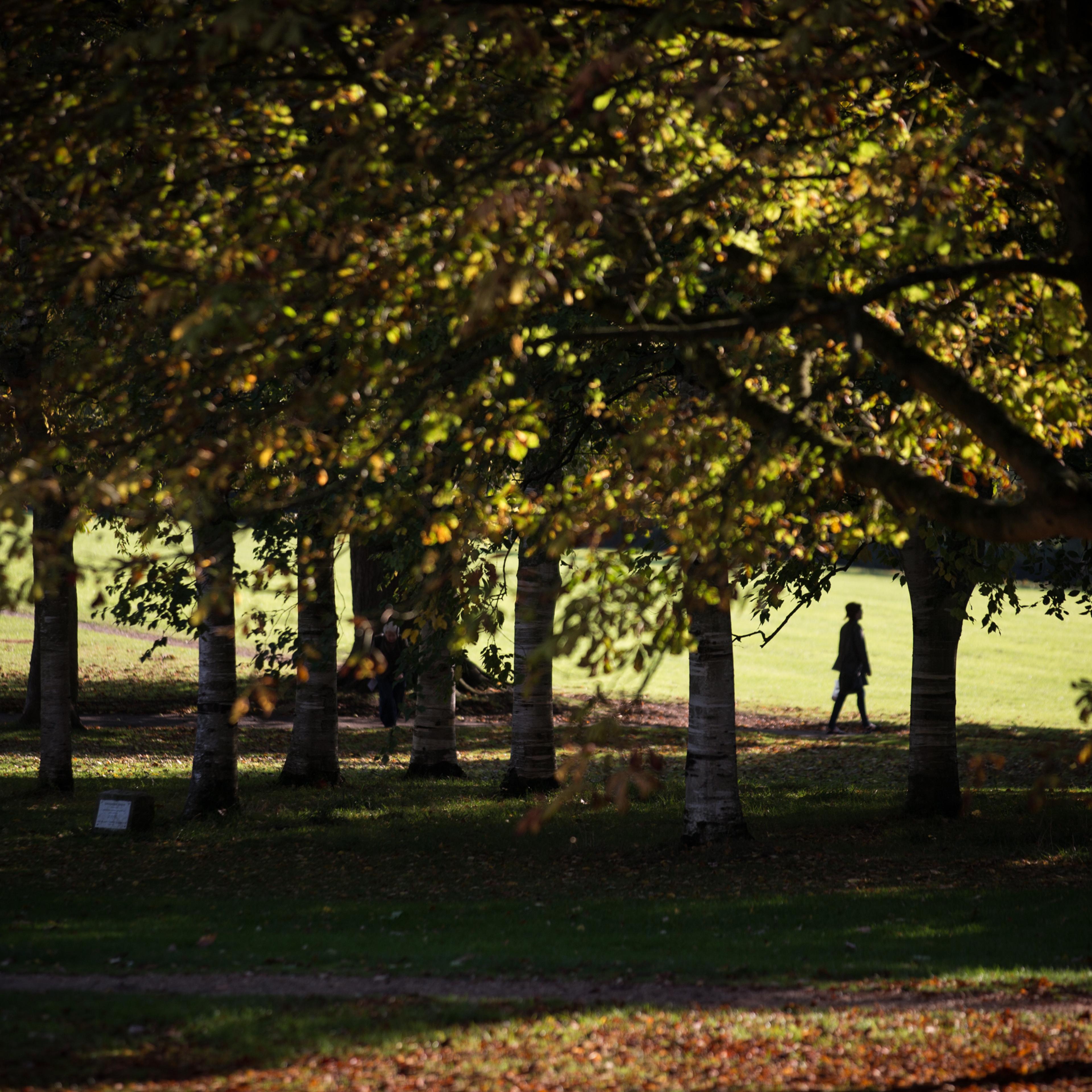 Autumn Colours Begin To Show In The UK
