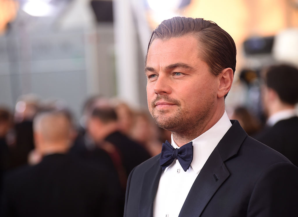 22nd Annual Screen Actors Guild Awards - Arrivals