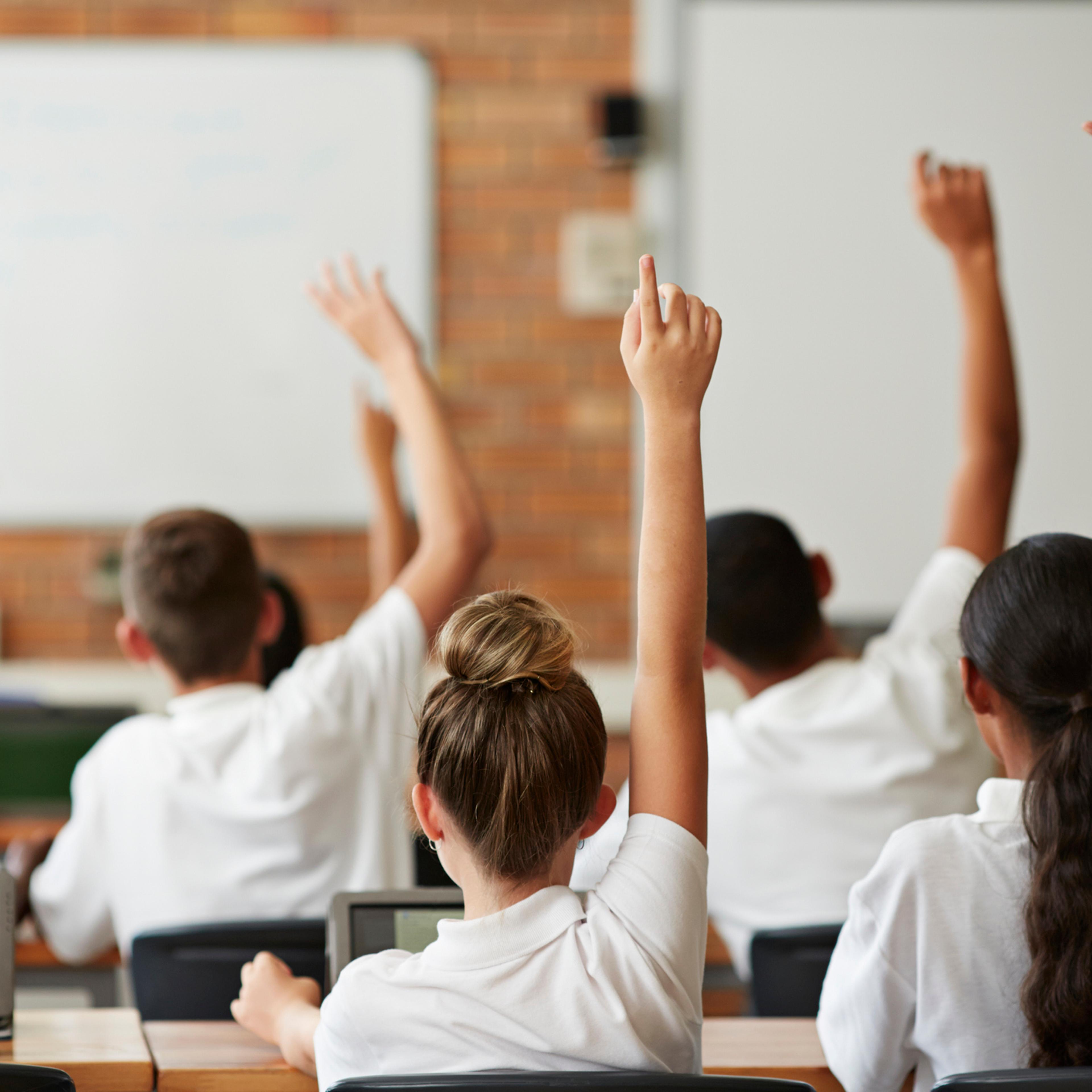 School students with raised hands, back view