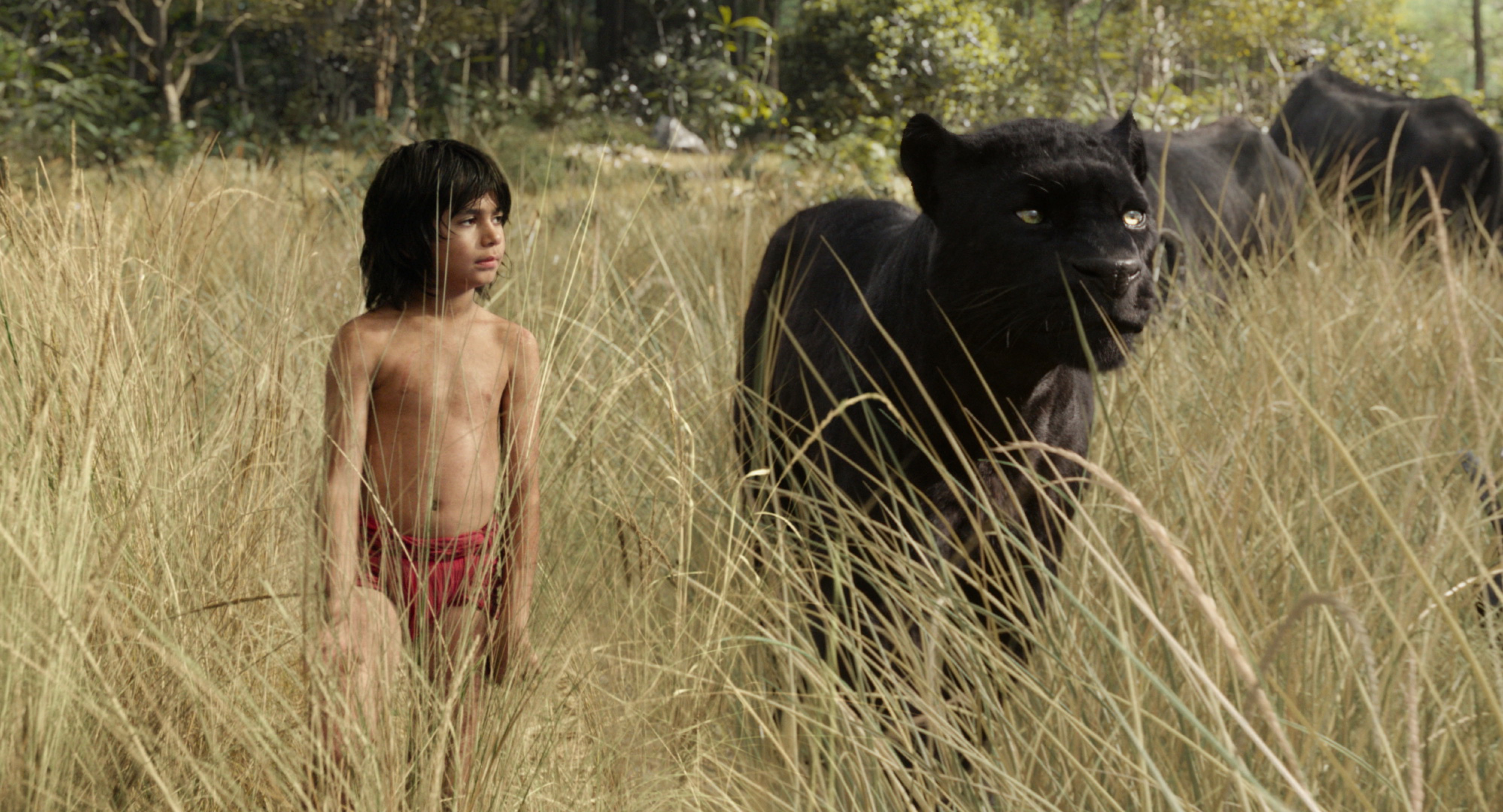 The Junglebook