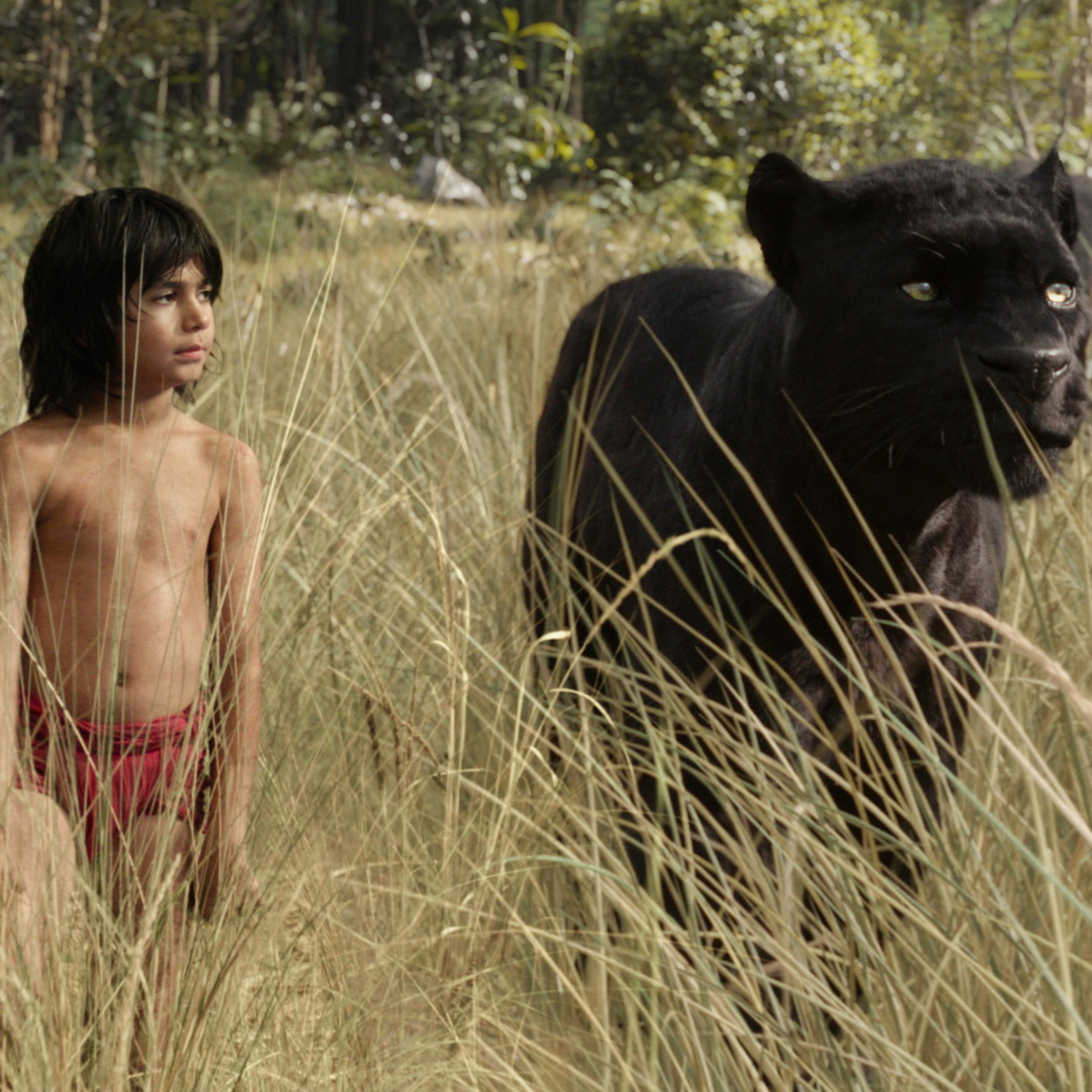 The Junglebook