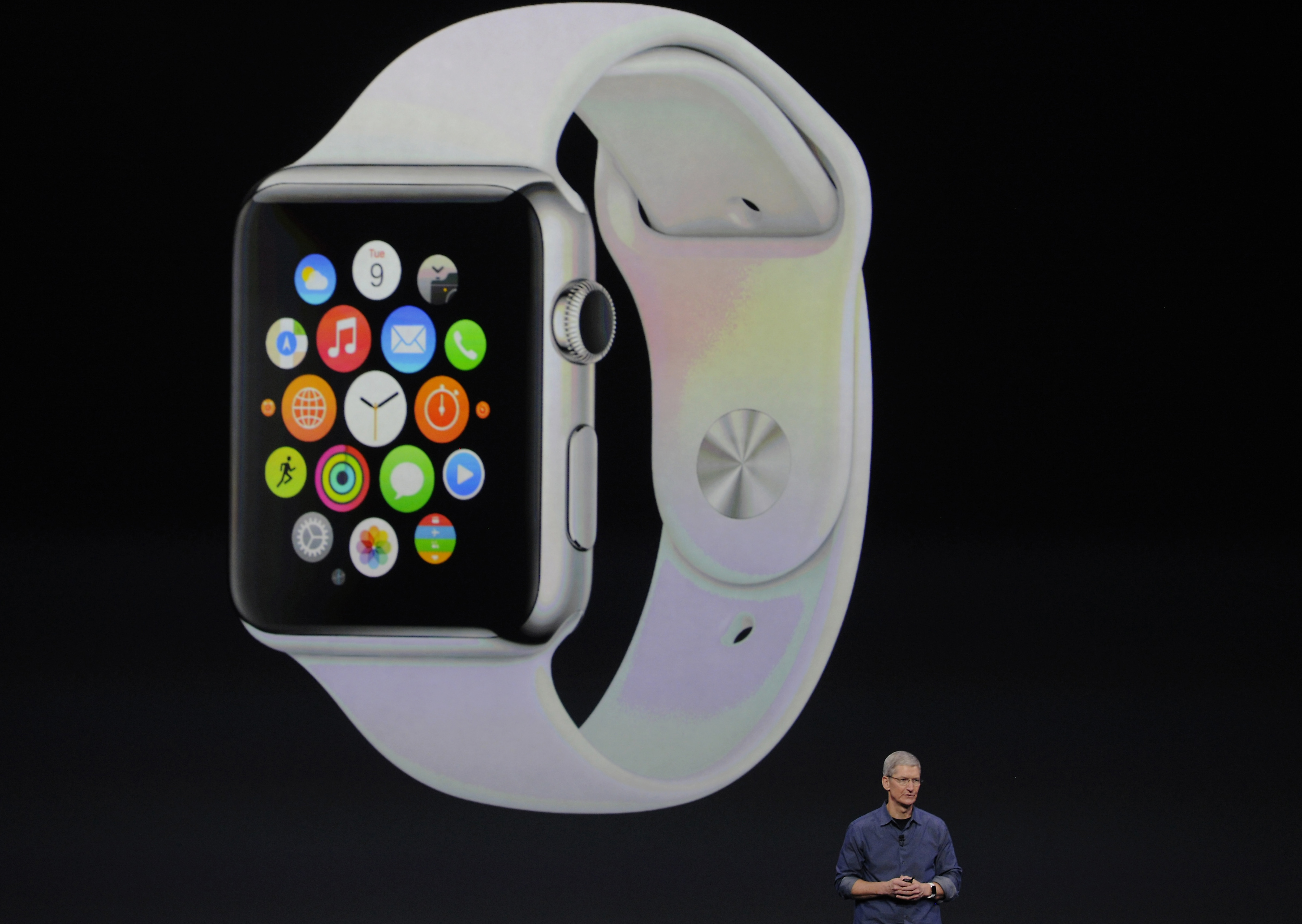Apple Watch Sales iPad