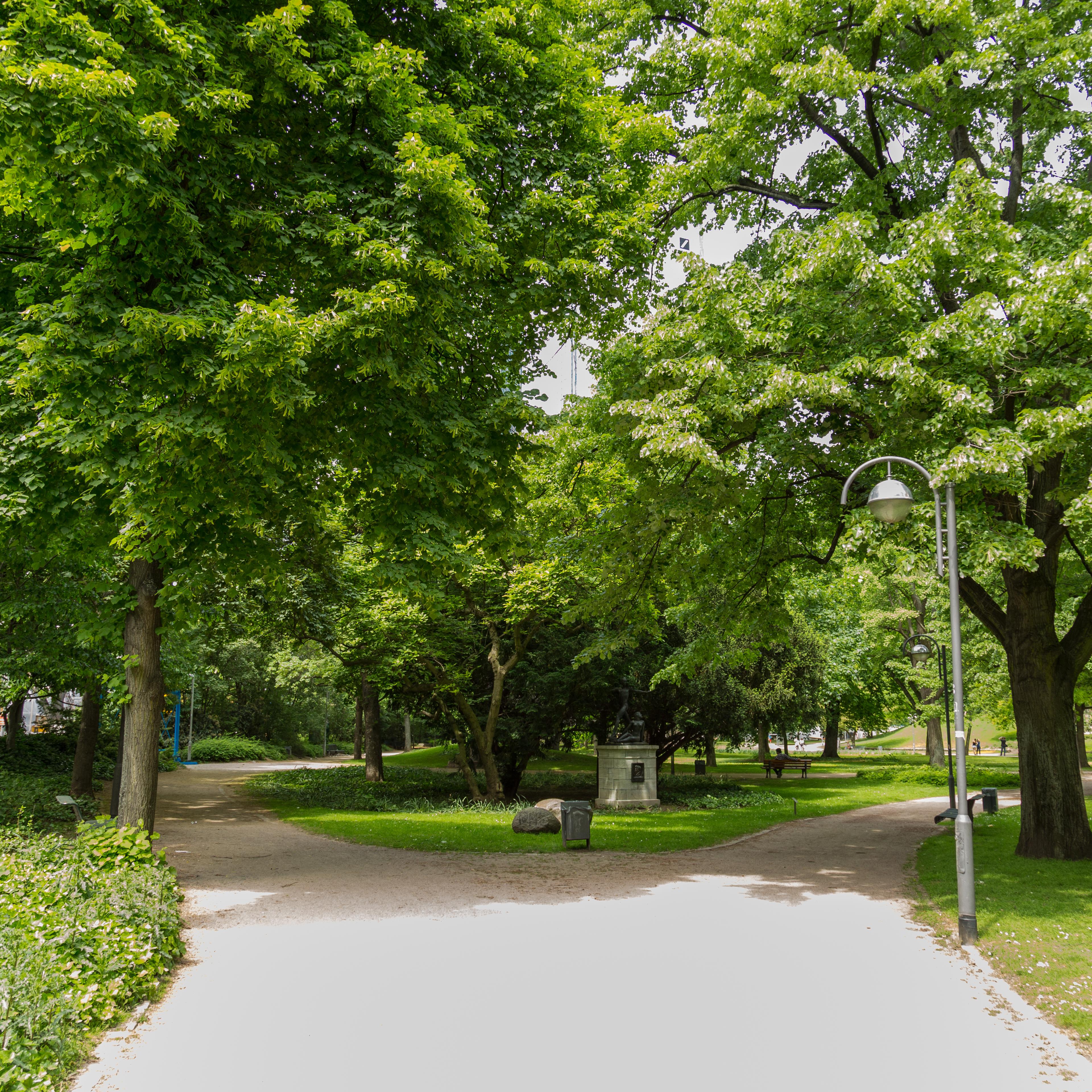 Trees In Park