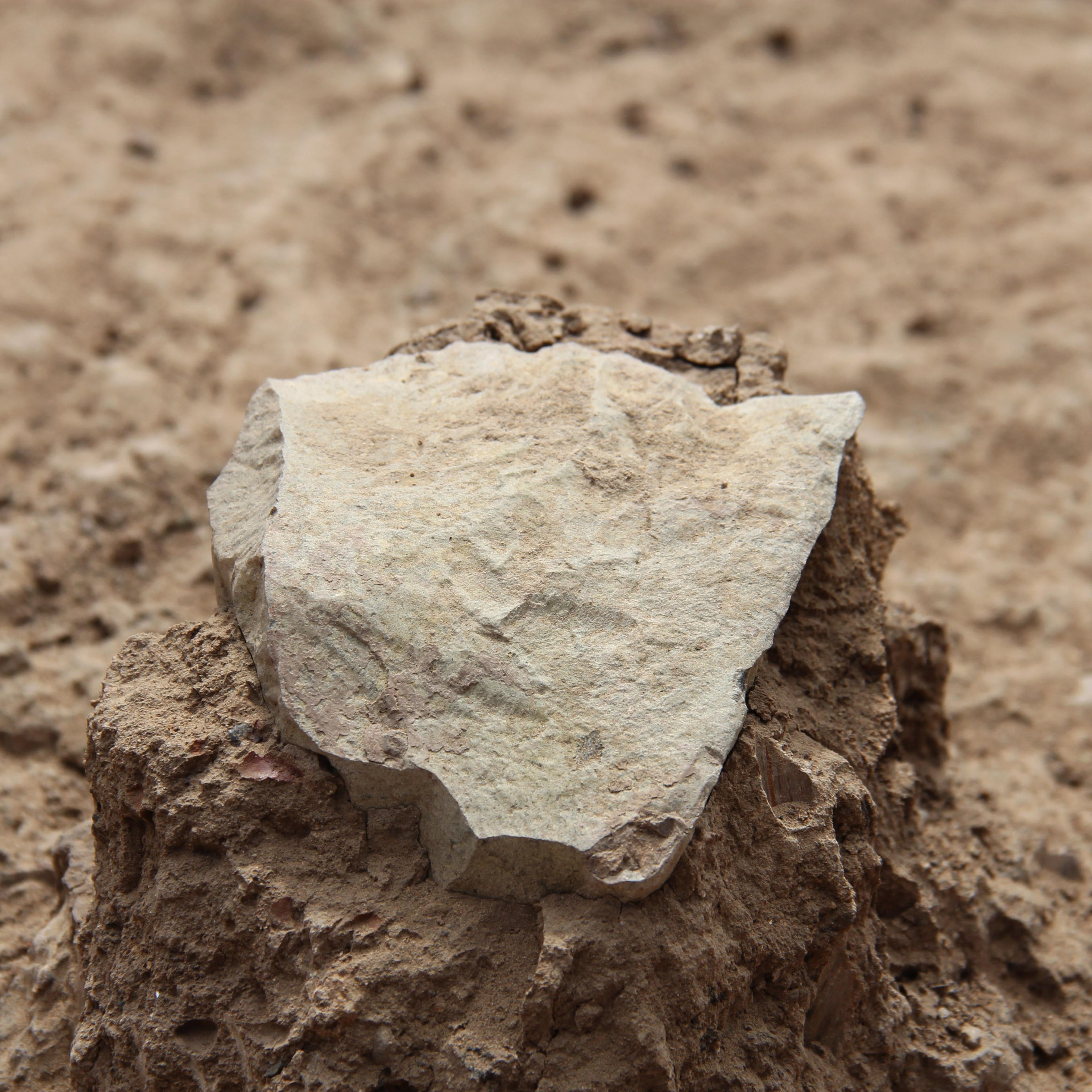 This undated photo made available May 20, 2015 by the Mission Prehistorique au Kenya - West Turkana Archaeological Project shows the excavation of a stone tool found in the West Turkana area of Kenya.