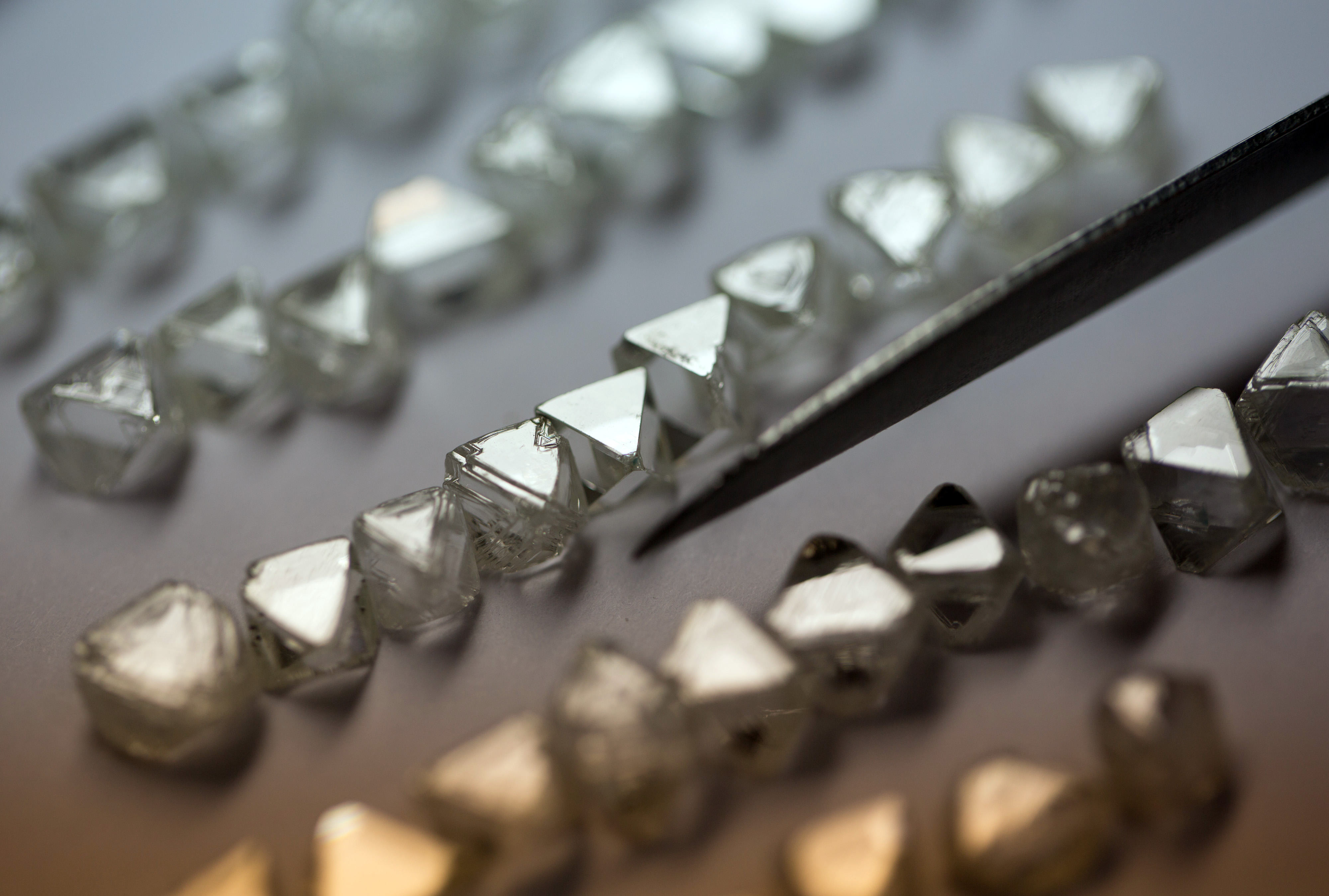 A collection of natural diamonds are seen laid in rows on a