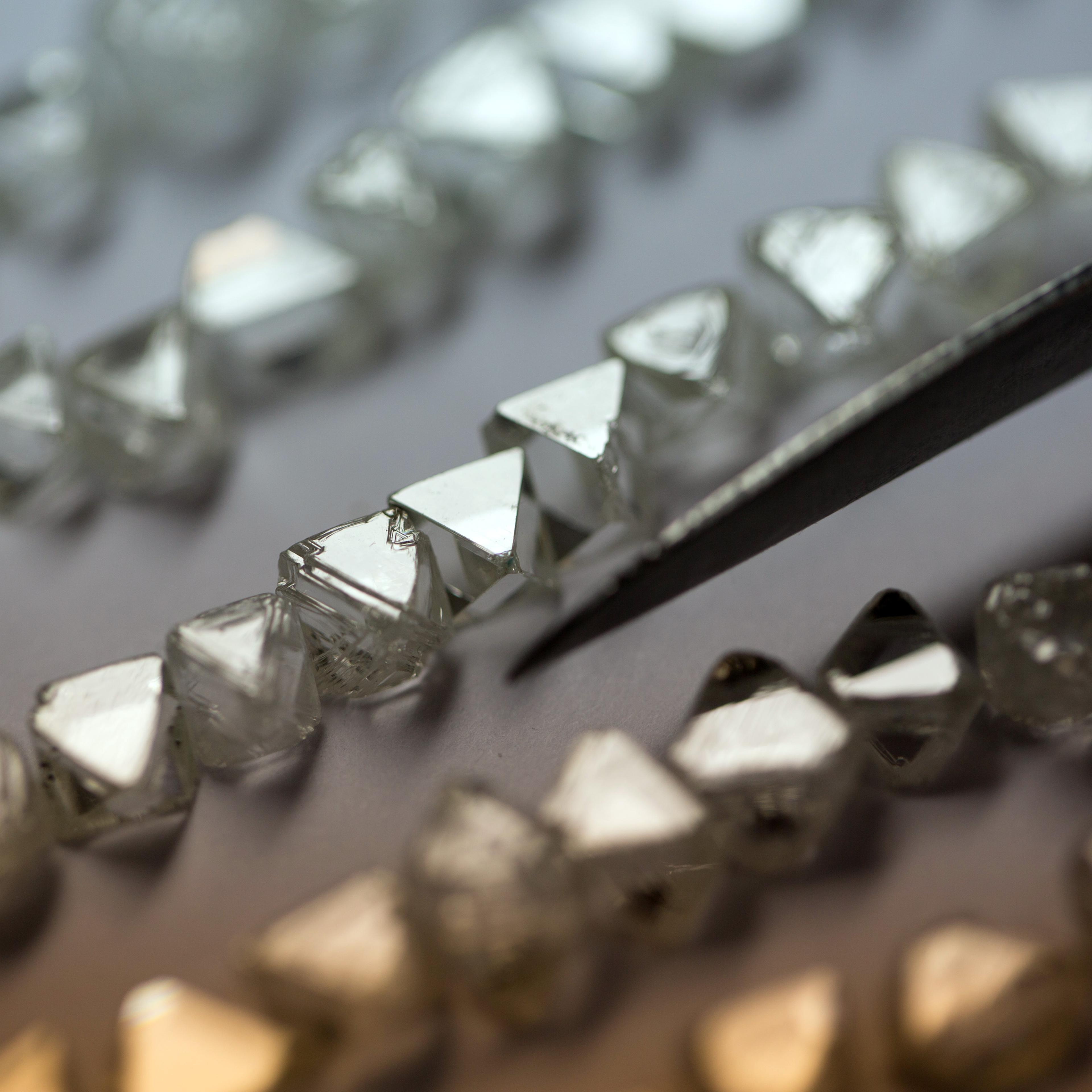 A collection of natural diamonds are seen laid in rows on a