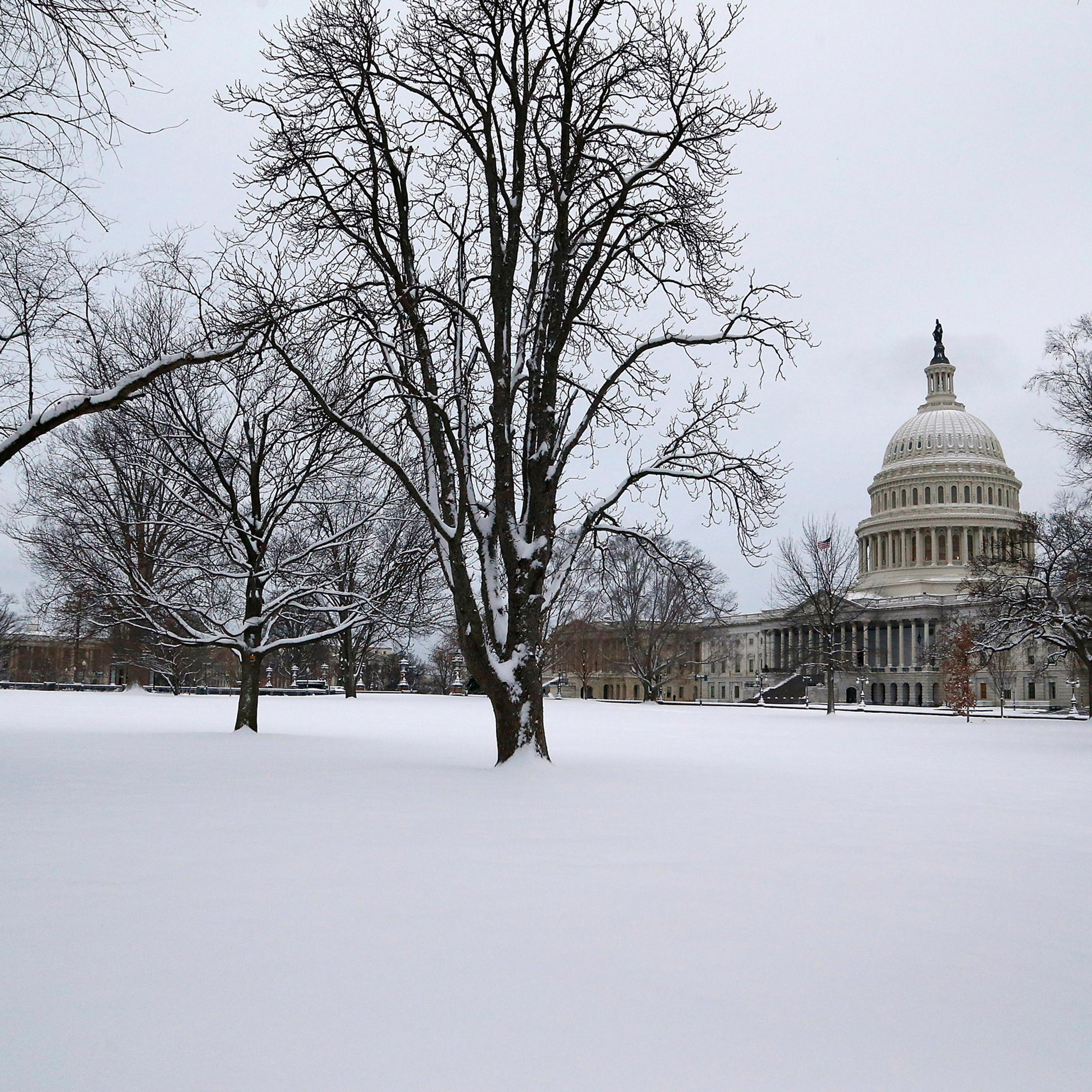 Several inches of fresh snow cover the lawn of the U.S. Capitol in Washington