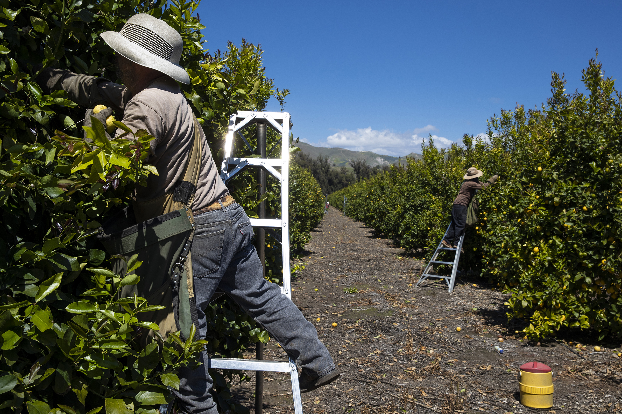 "Essential" Workers  Keep American Life Going During Coronavirus Pandemic