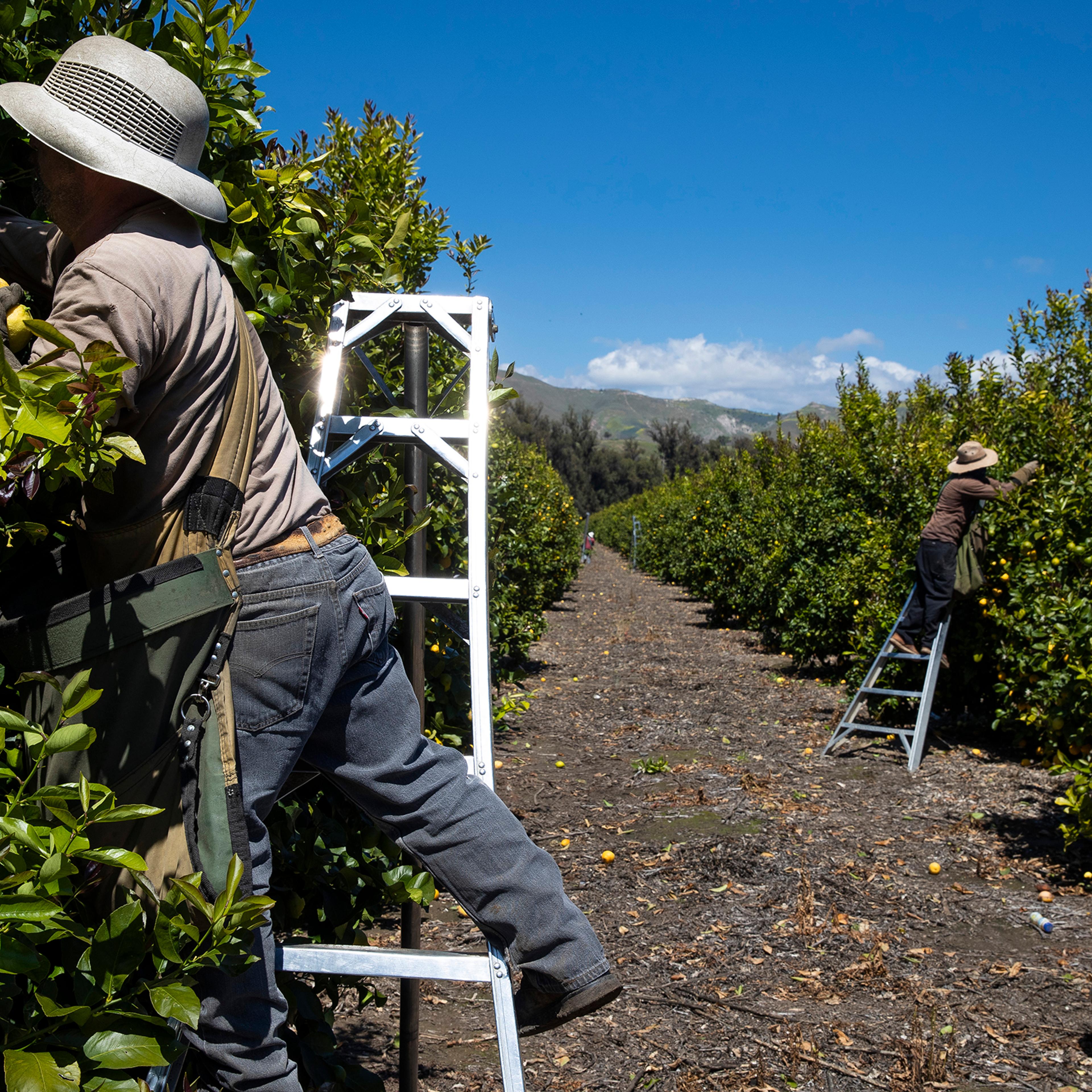 "Essential" Workers Keep American Life Going During Coronavirus Pandemic