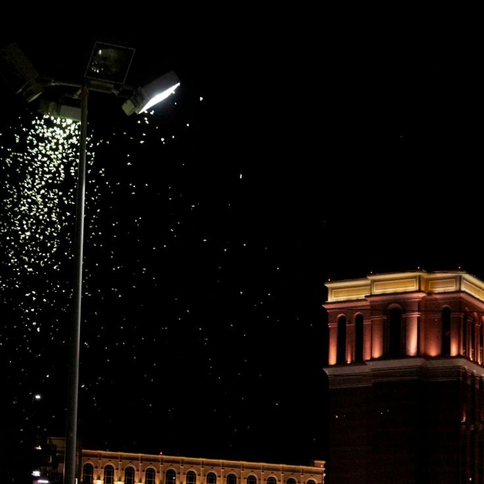 US-NEVADA-GRASSHOPPERS-OFFBEAT