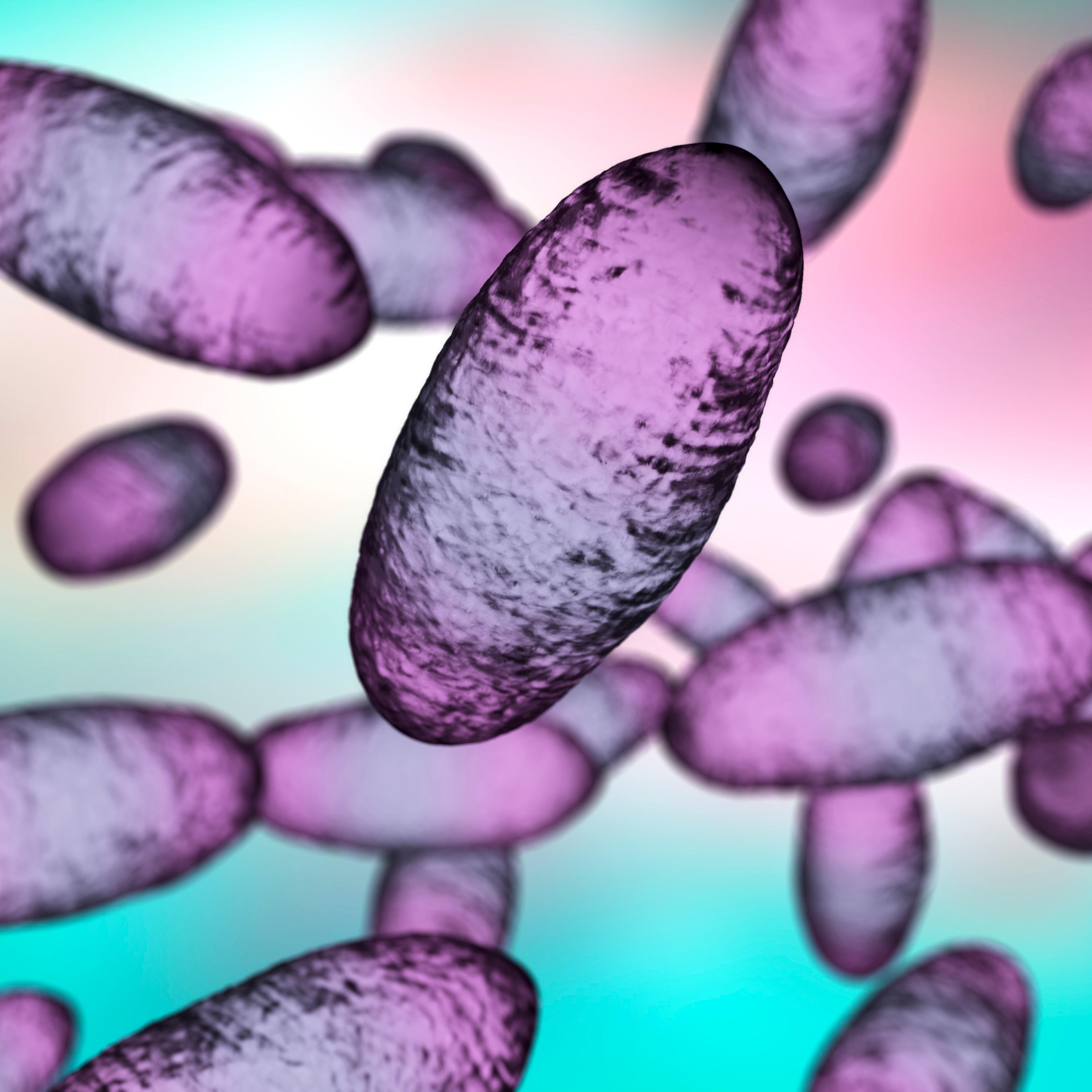 Plague bacteria Yersinia pestis, illustration