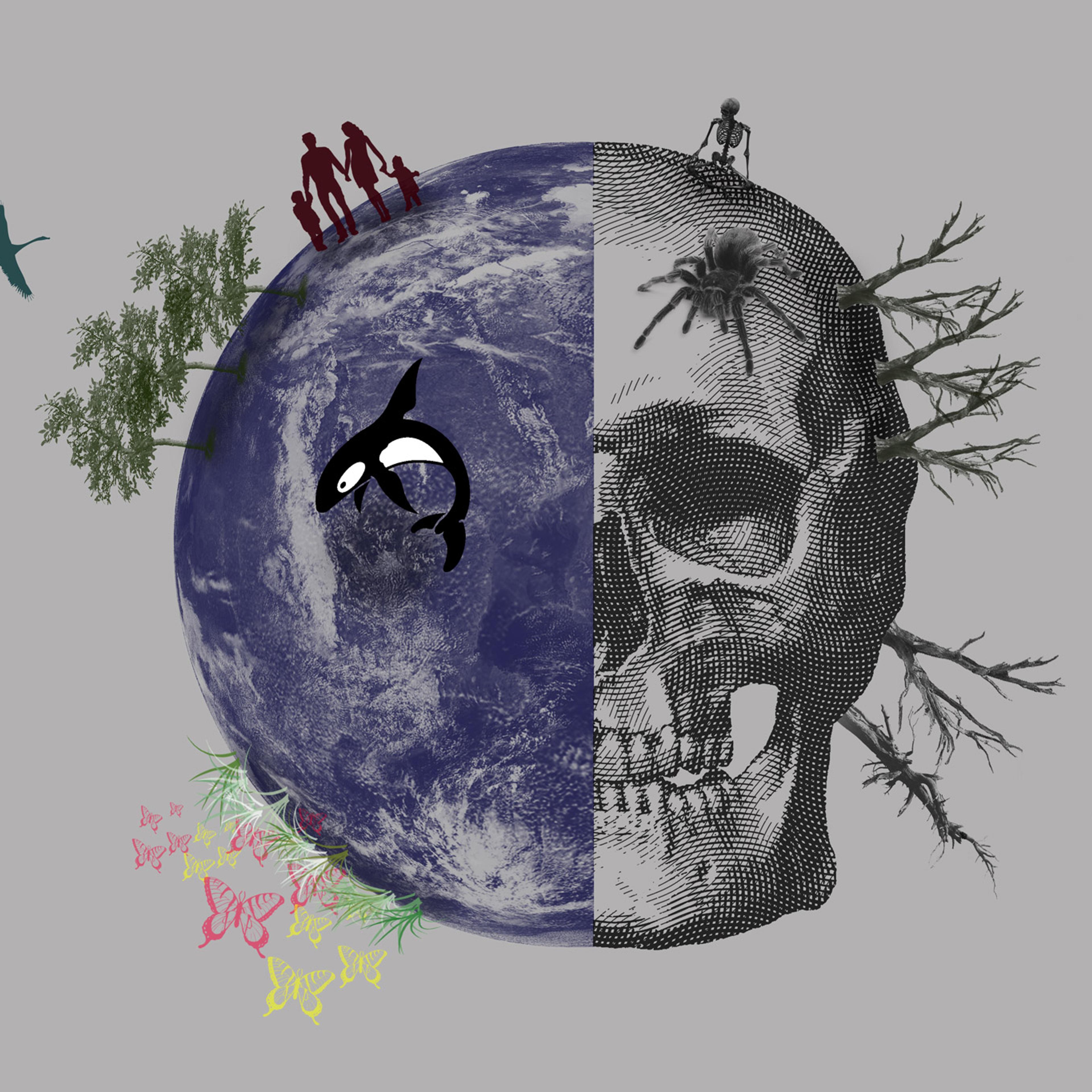 Illustration of a globe half with a skull