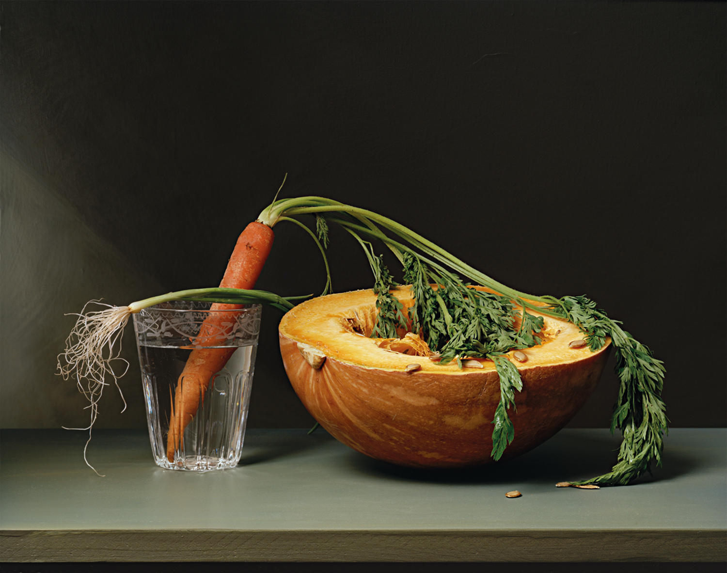 Plate 27 - Carrot and Squash