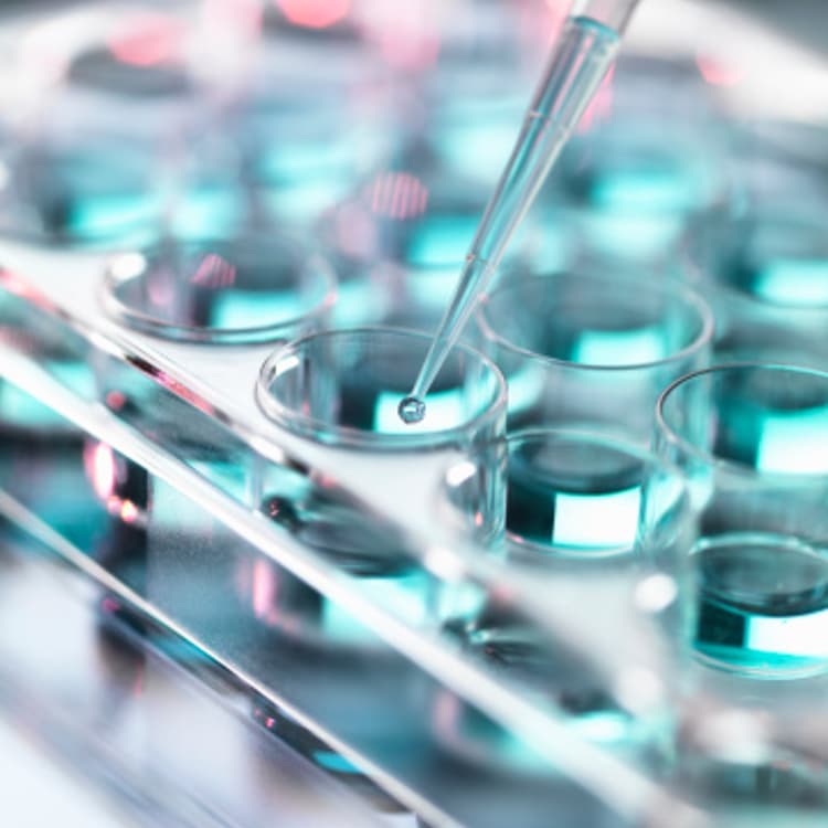 sample-science-lab