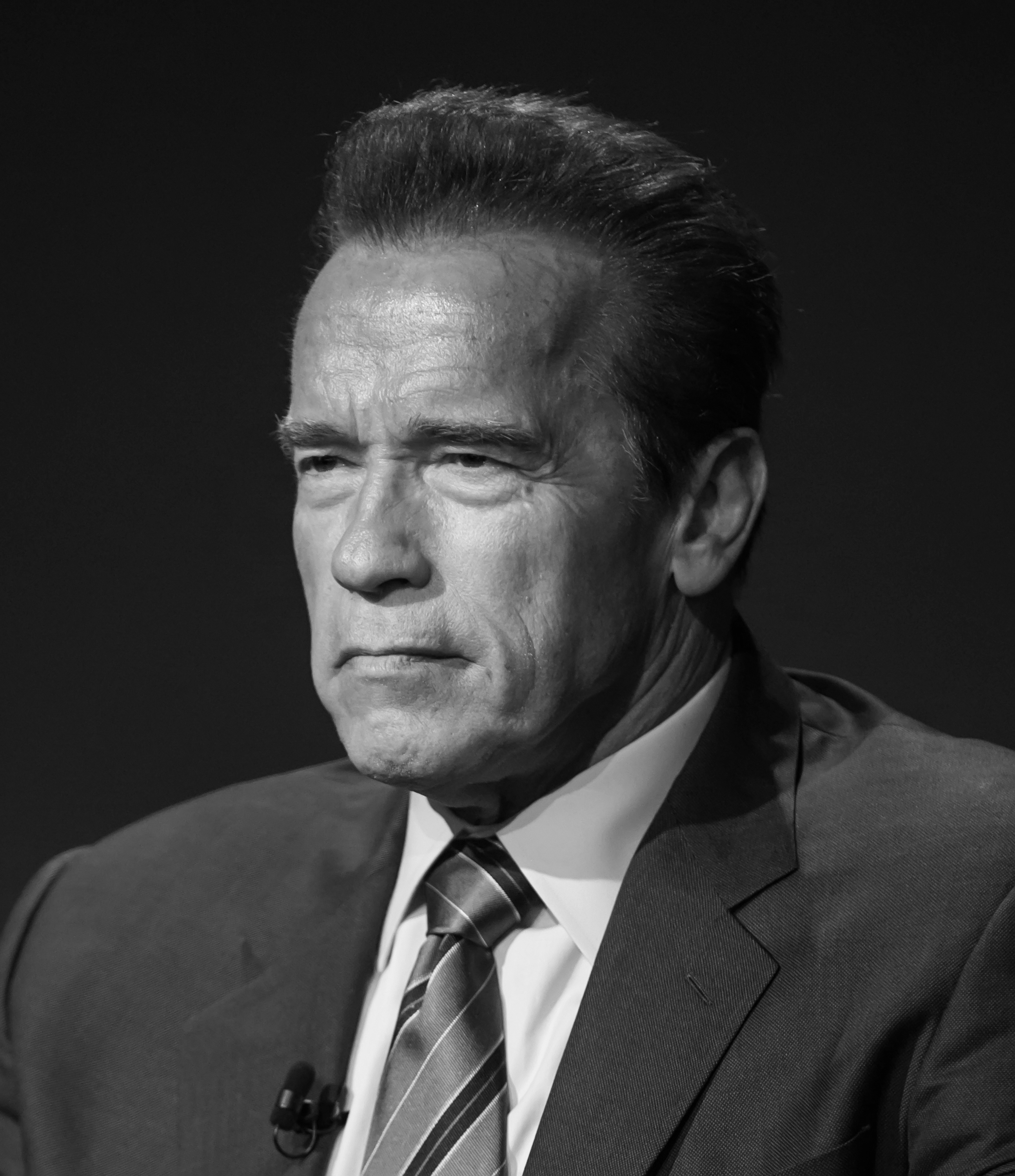 Arnold Schwarzenegger.