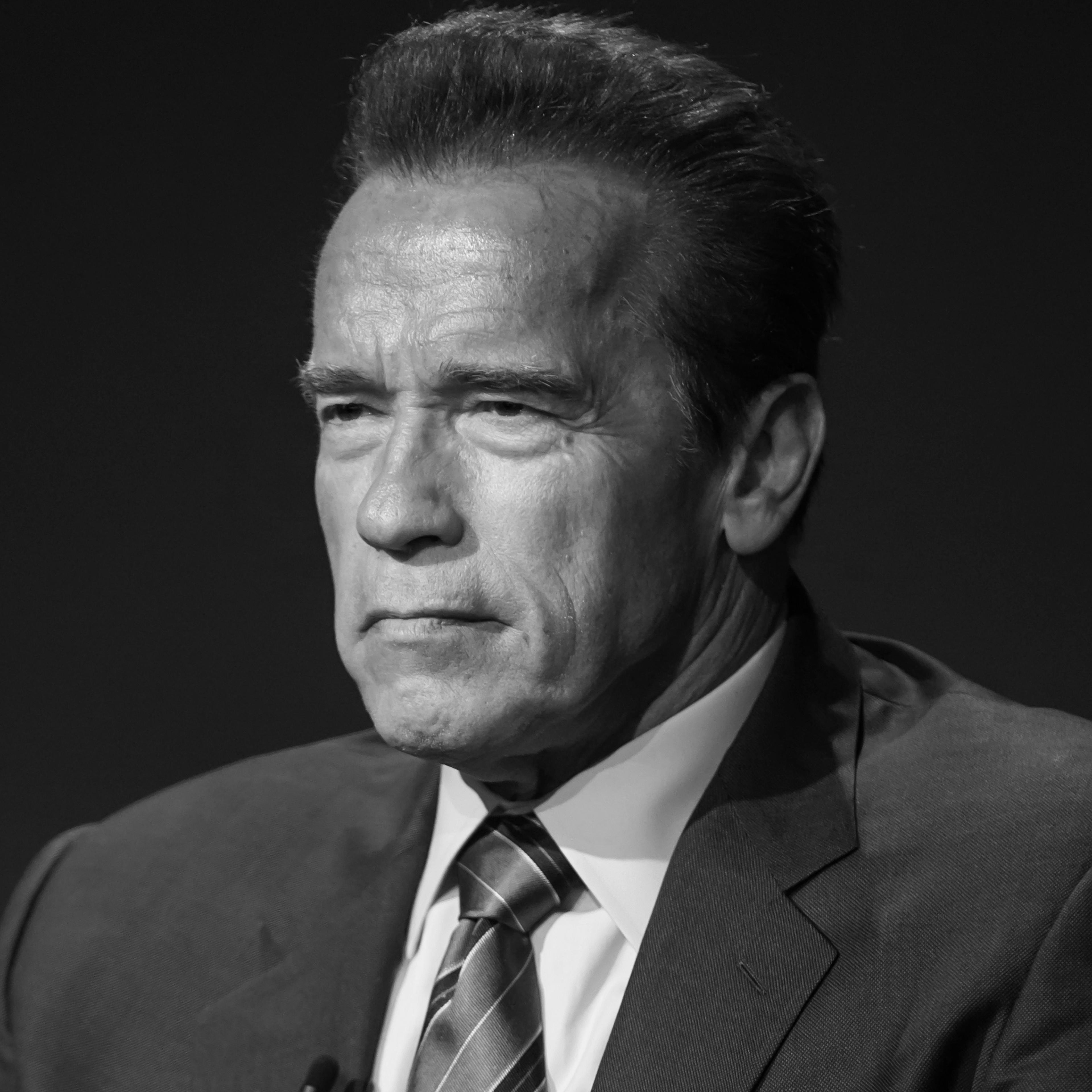 Arnold Schwarzenegger.