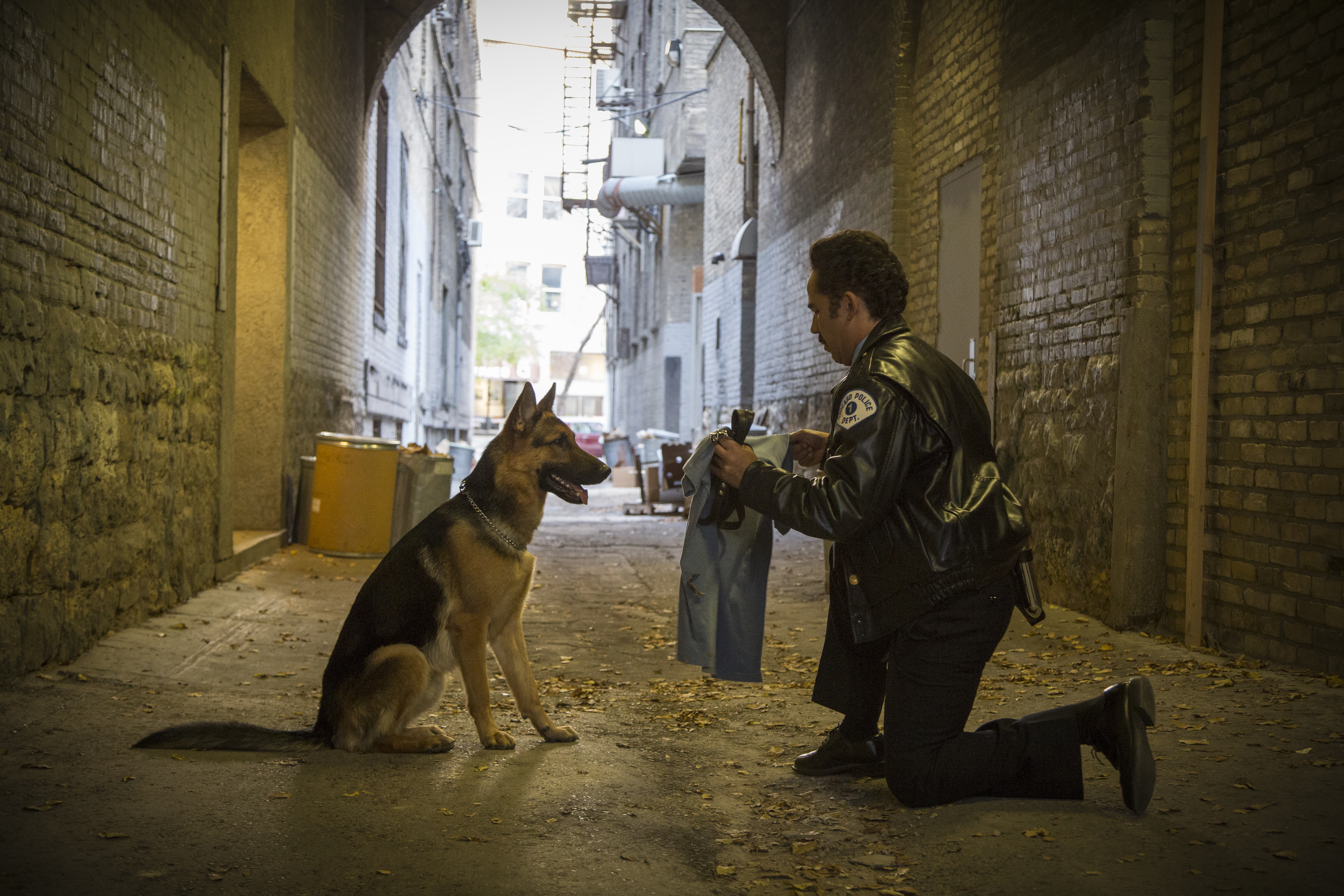 Film Review A Dog's Purpose