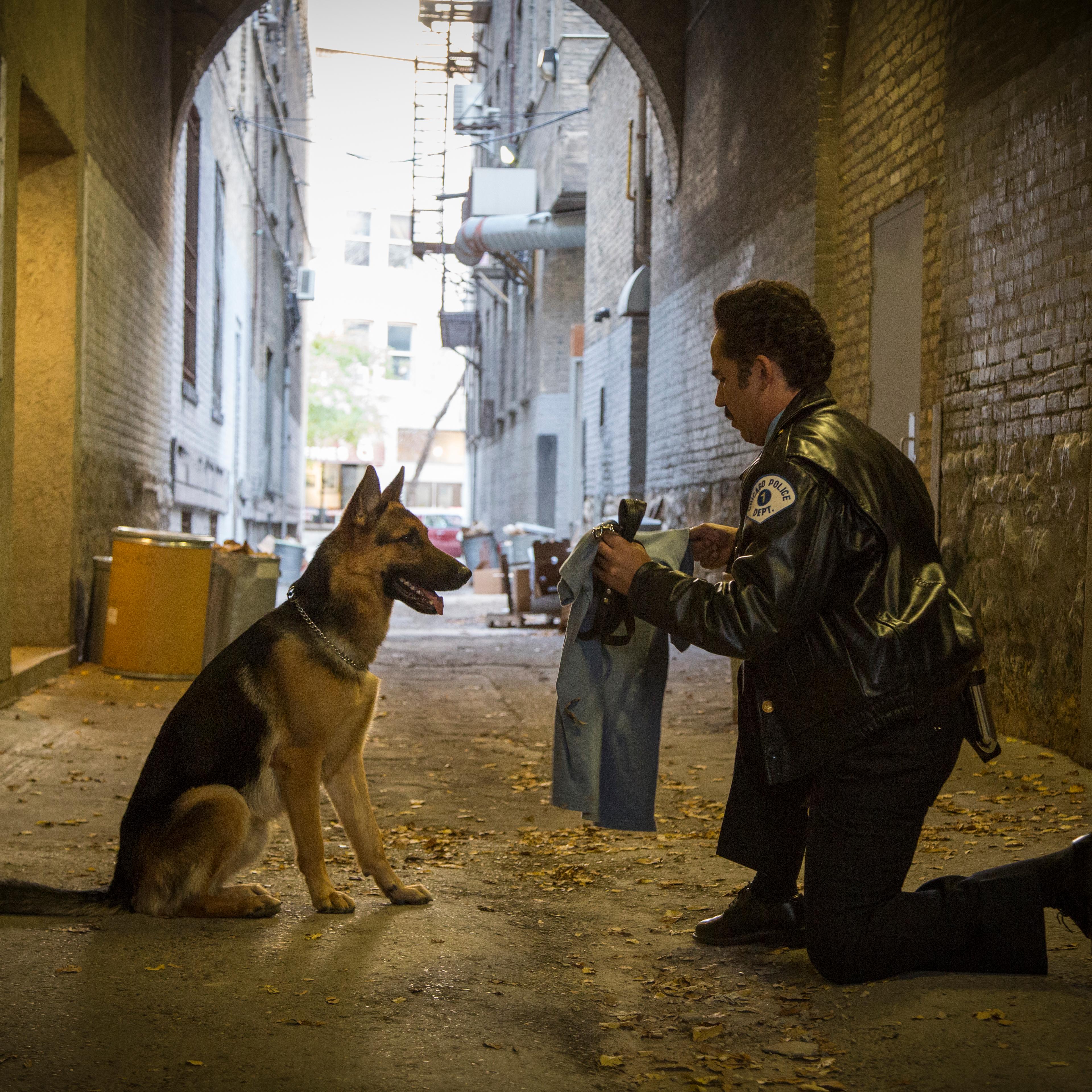 Film Review A Dog's Purpose