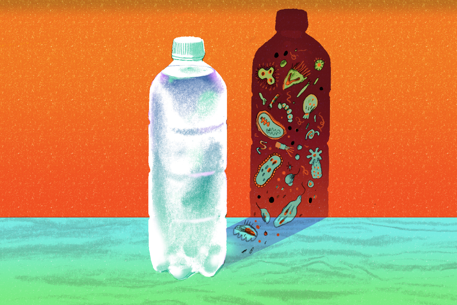 can bac water go bad Can Water Go Bad and Make You Sick