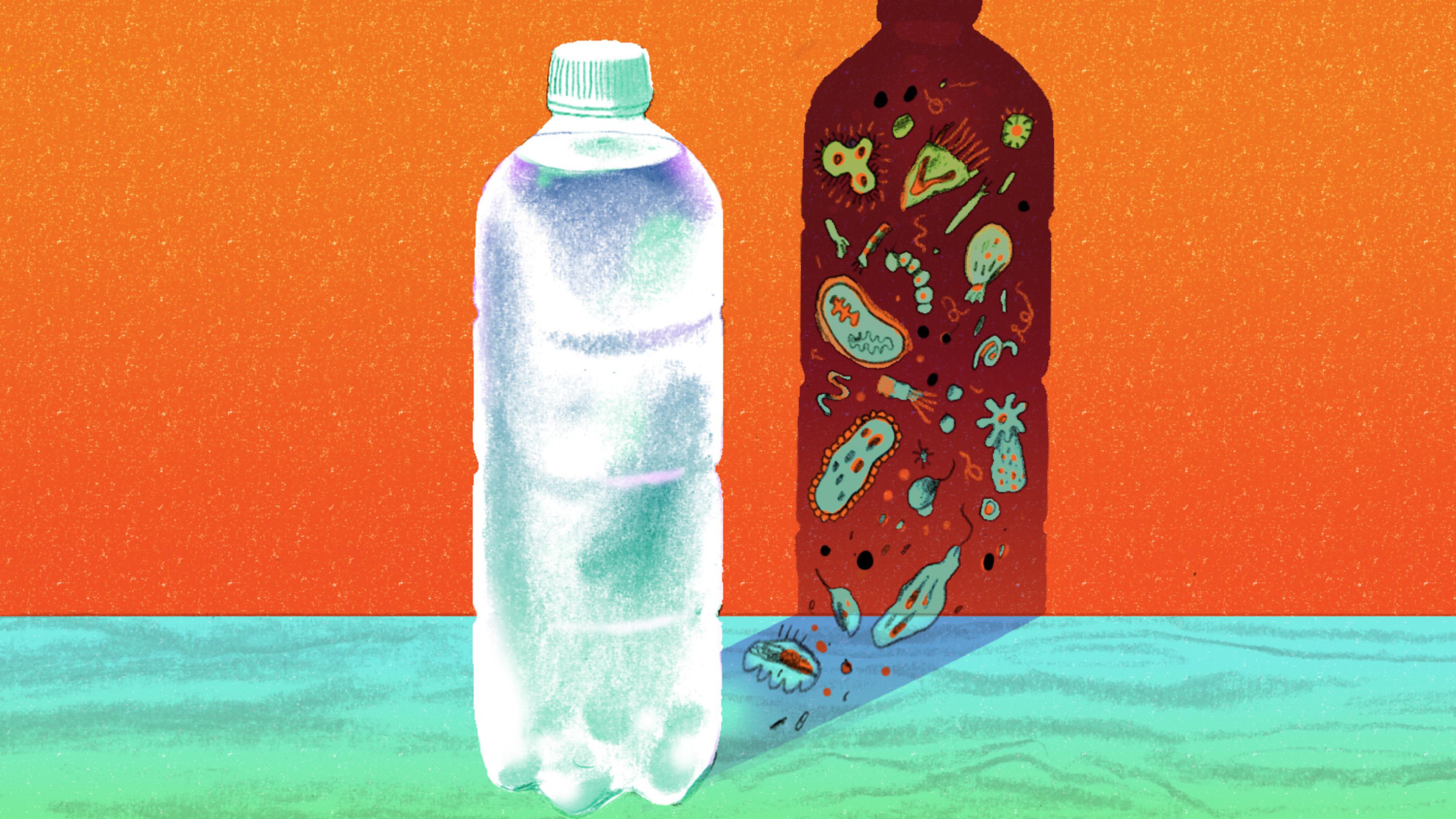 Can Water Go Bad and Make You Sick