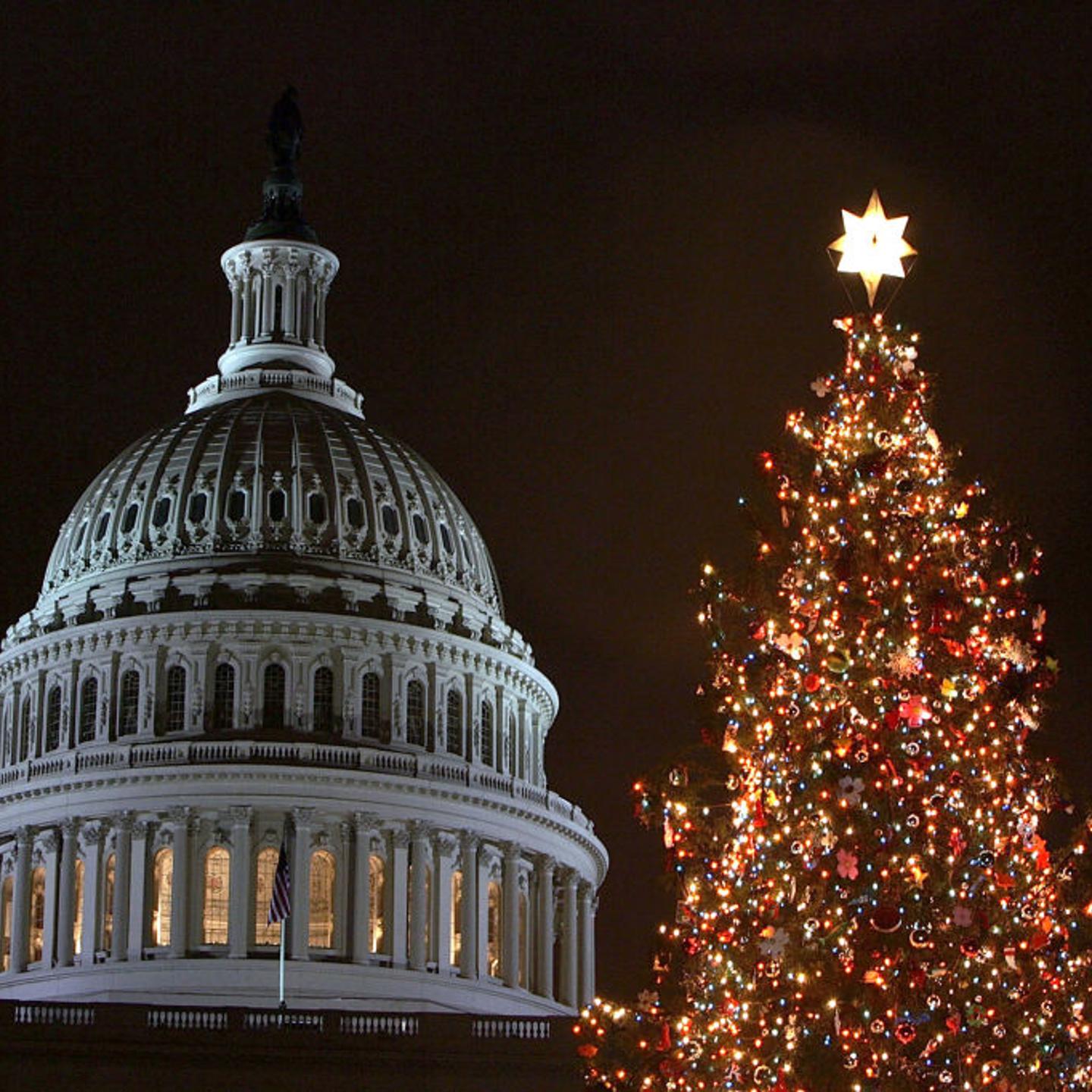 Congress Hosts Capitol Tree Lighting Ceremony