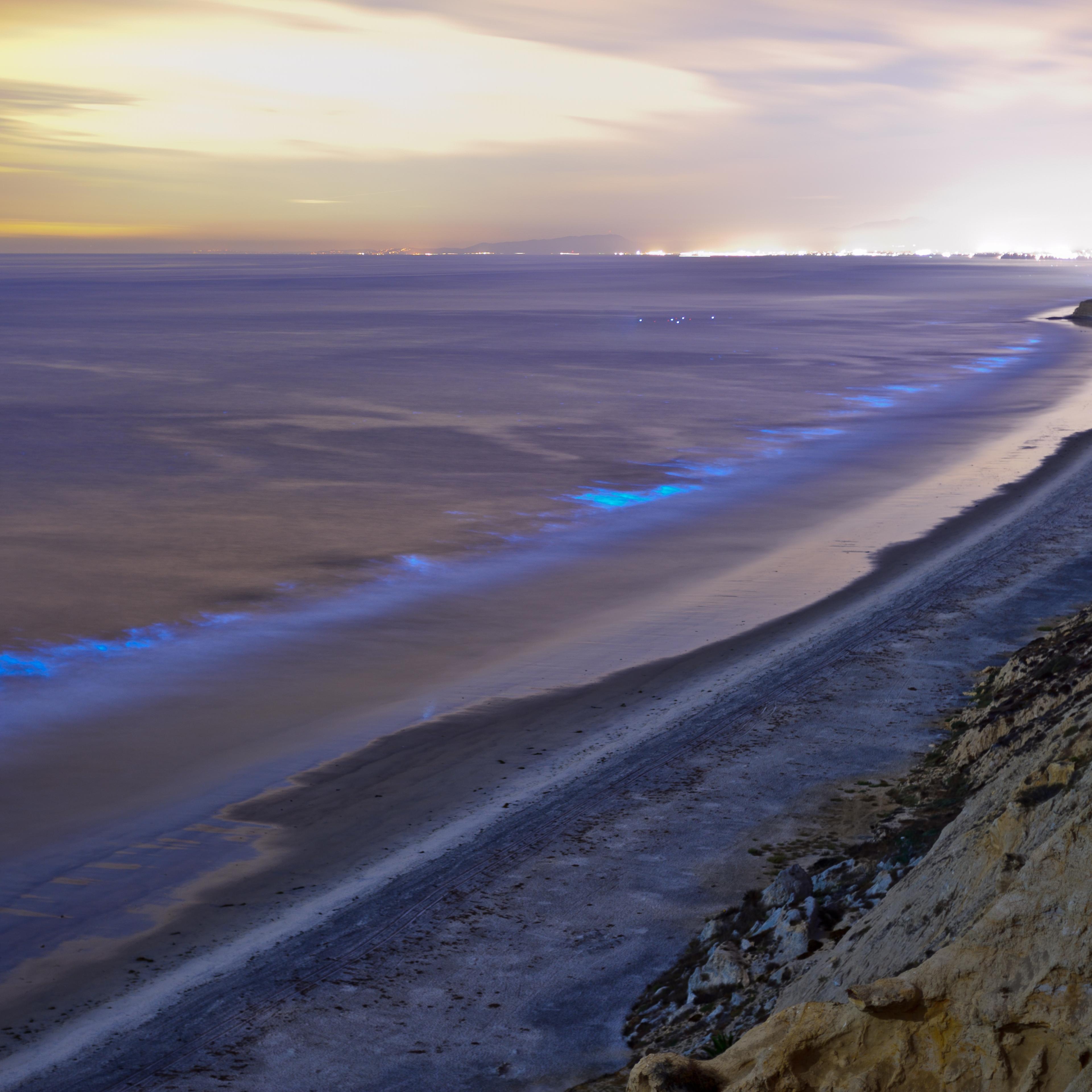 Sea coast