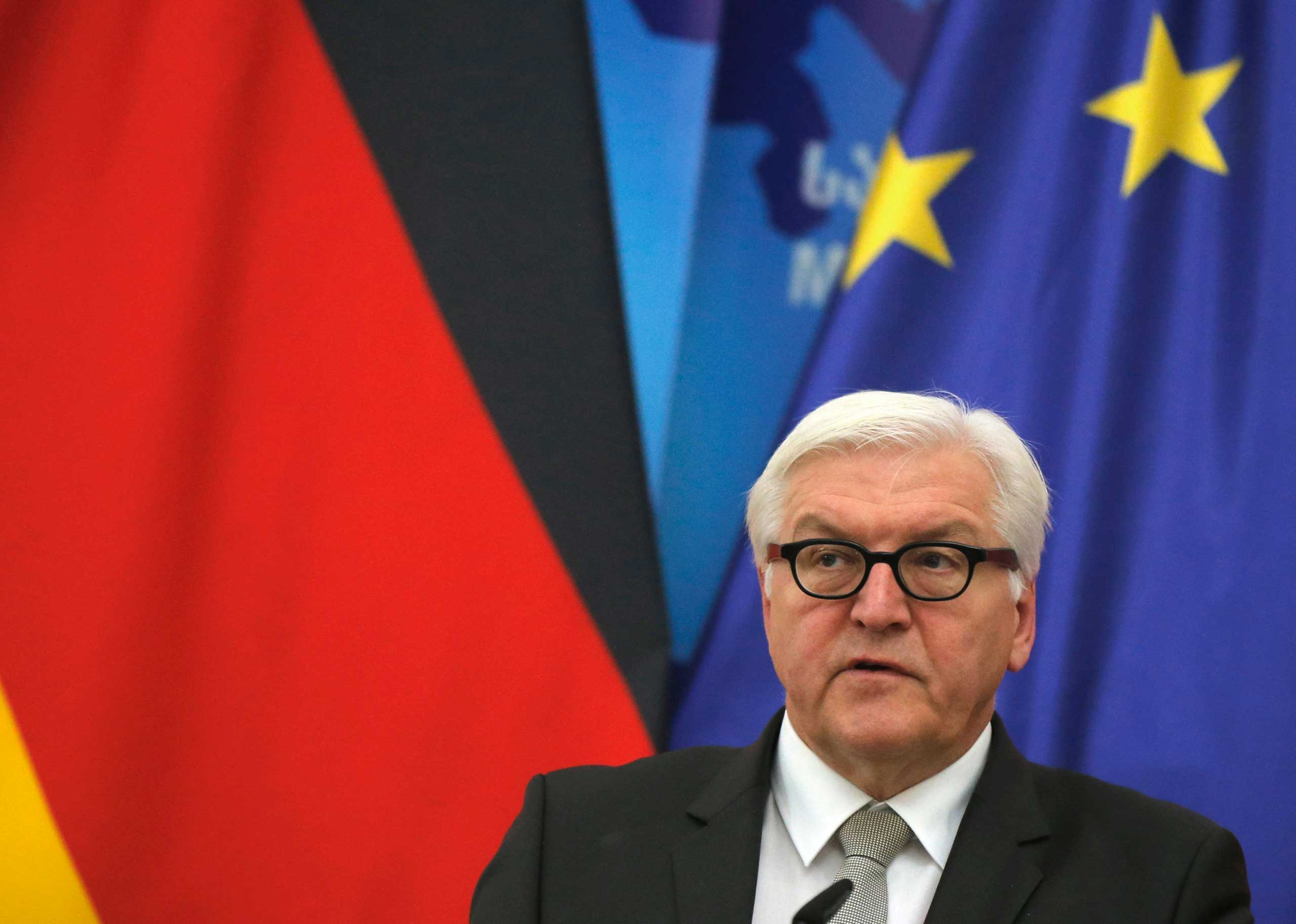 German Foreign Minister Frank-Walter Steinmeier attends a news briefing in Tbilisi, Georgia, Dec. 8, 2014.
