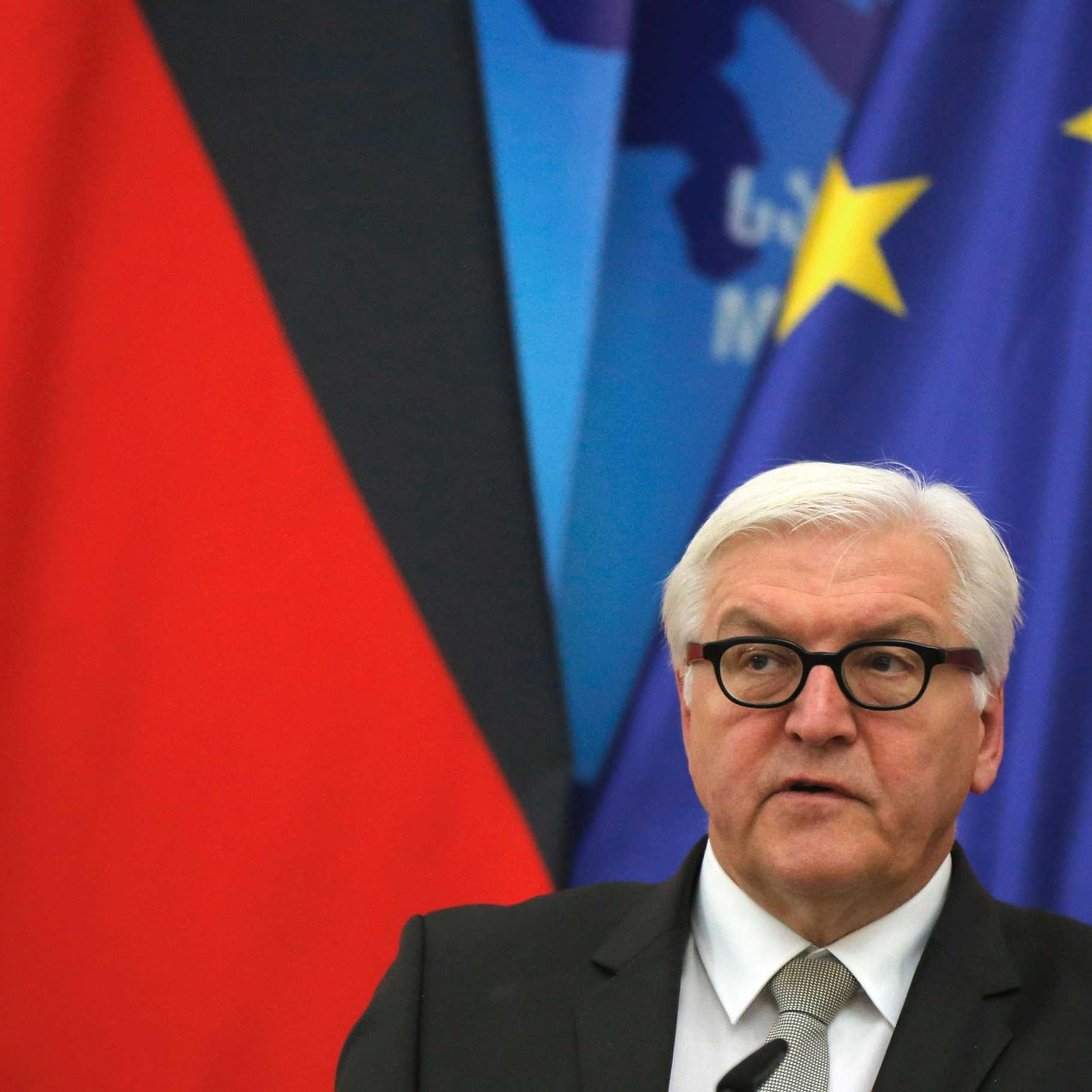 German Foreign Minister Frank-Walter Steinmeier attends a news briefing in Tbilisi, Georgia, Dec. 8, 2014.