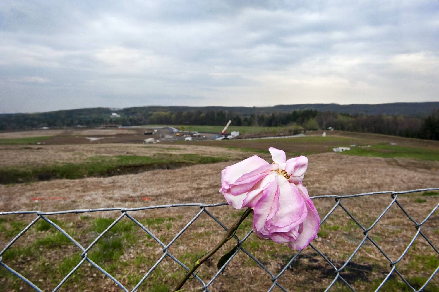 A single flower in the fence at the crash site in Shanksvillle, Pa. the day after Osama Bin Laden was killed by the U.S. military in Pakistan.