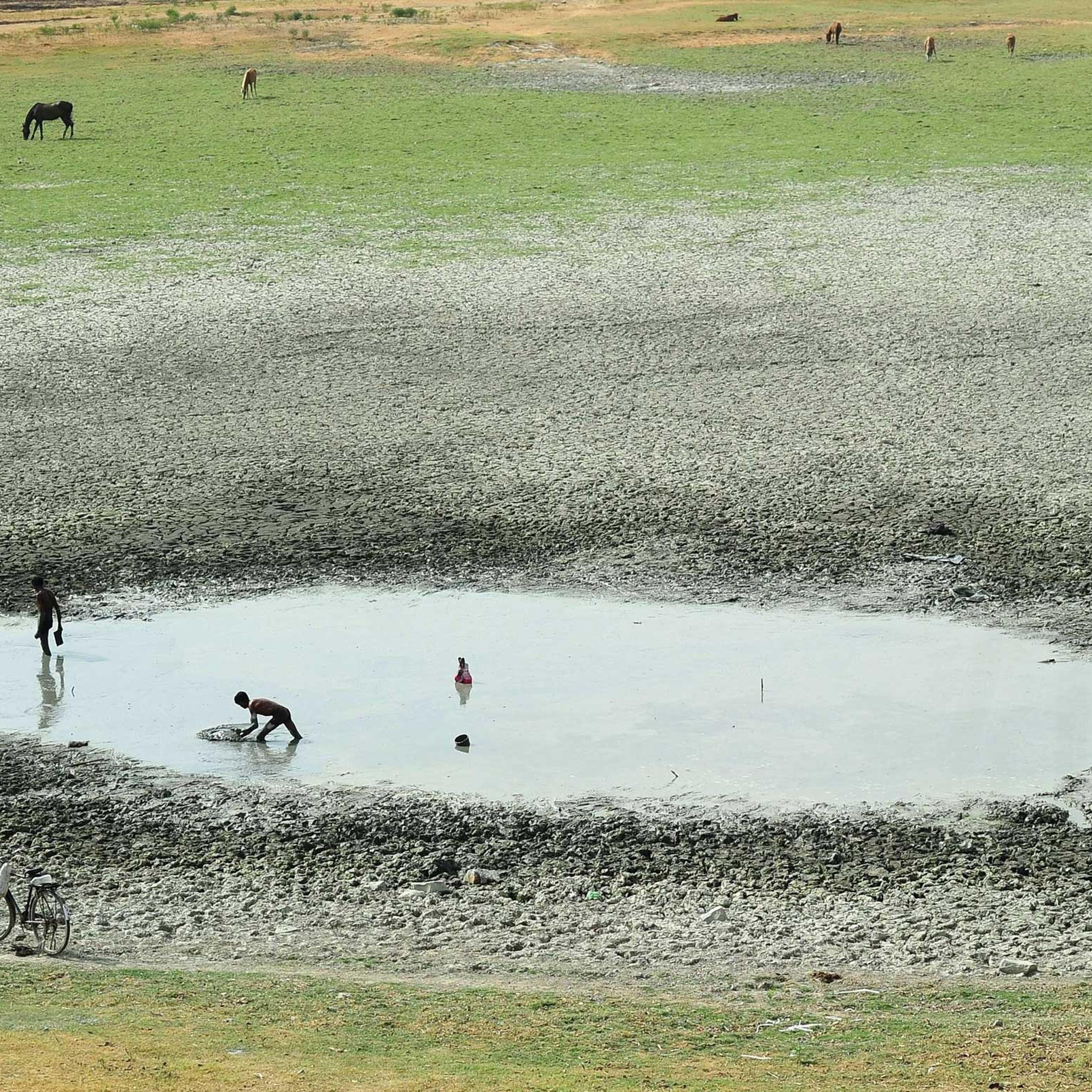 India Heatwave