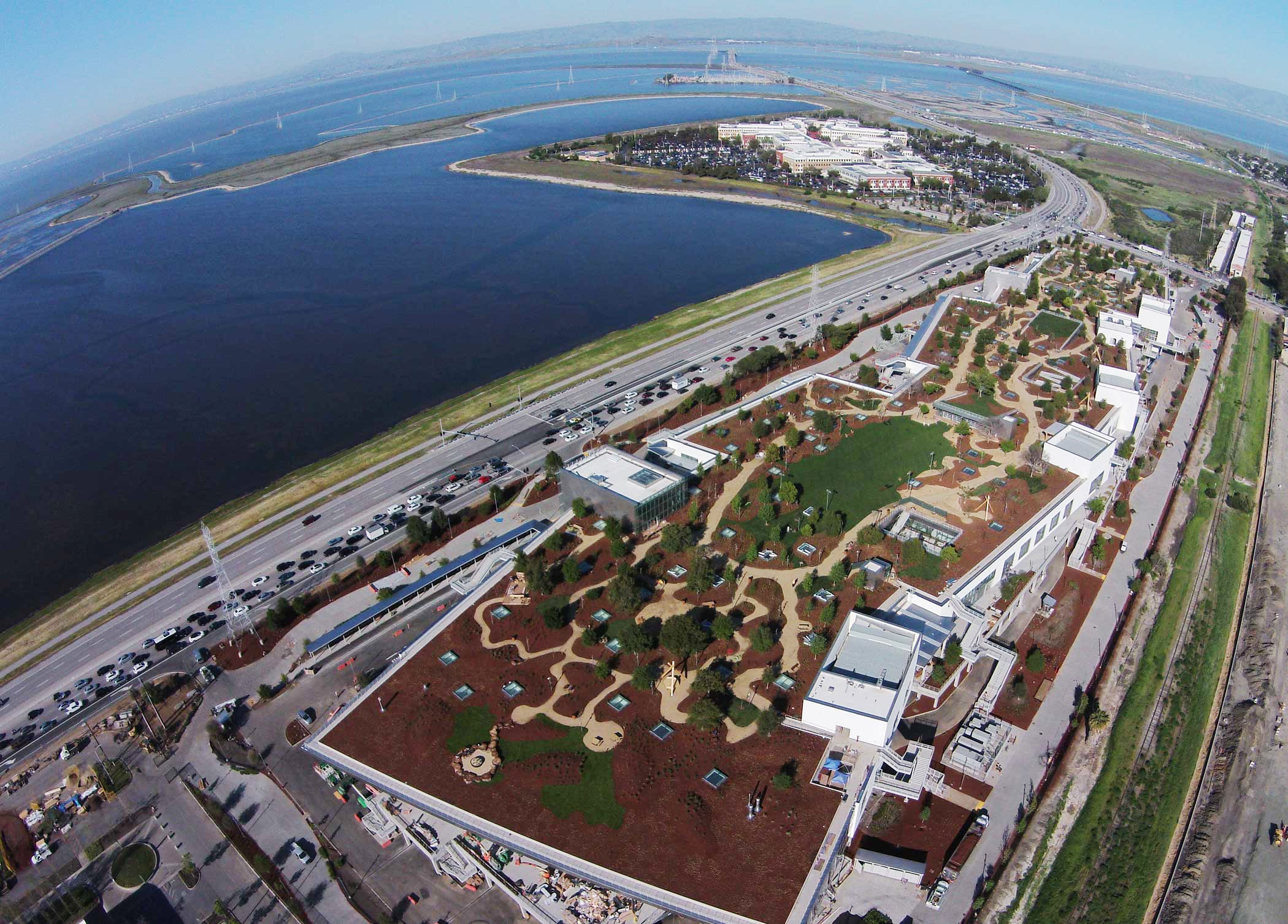 Facebook New Campus Green Roof