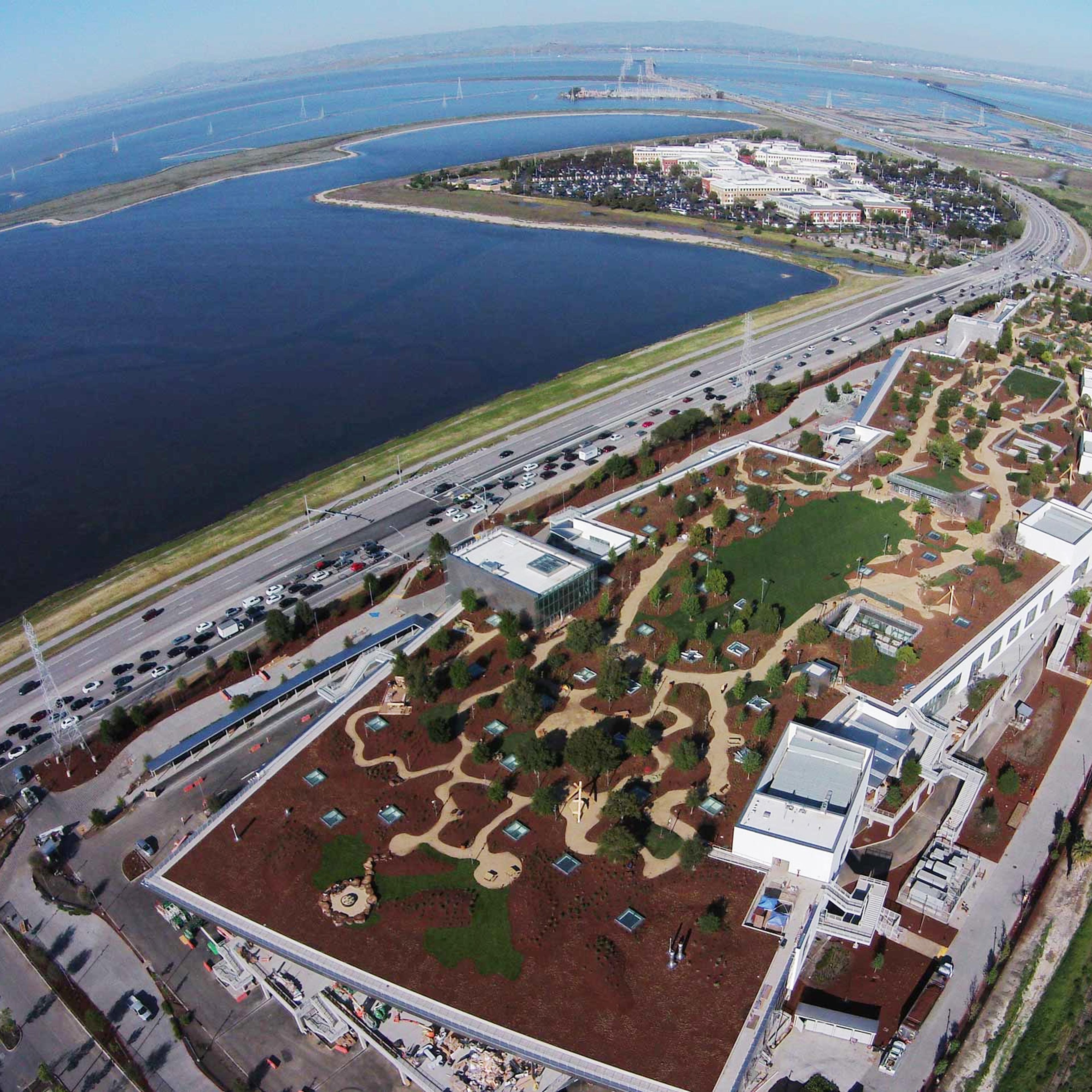 Facebook New Campus Green Roof
