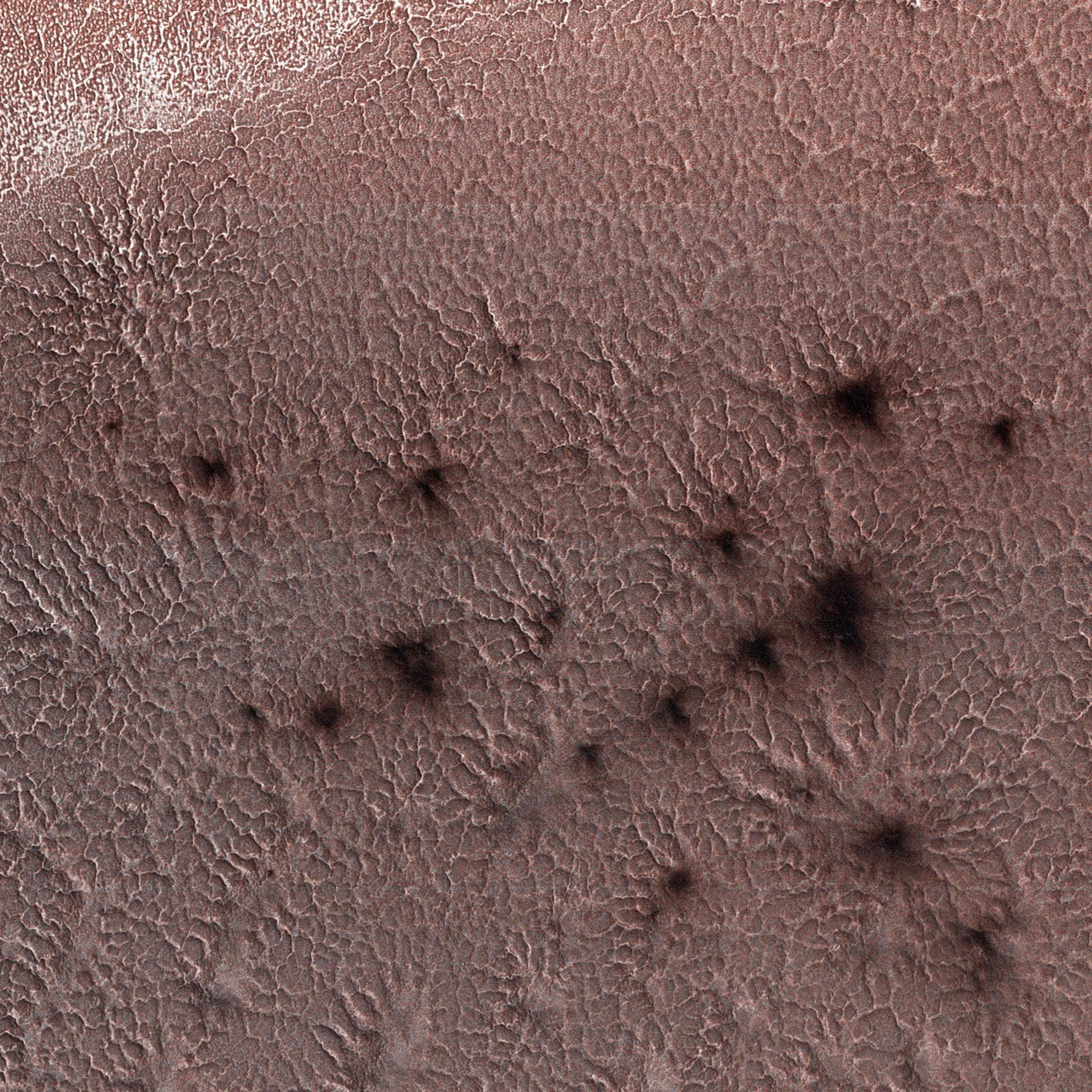 spiders-on-mars
