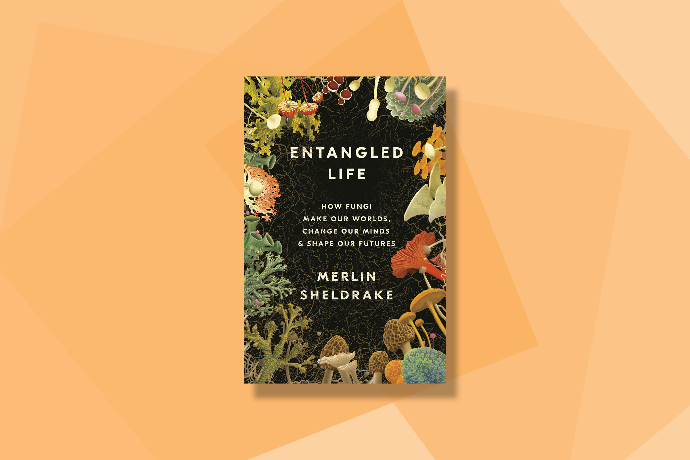 Entangled Life: 100 Must-Read Books of 2020