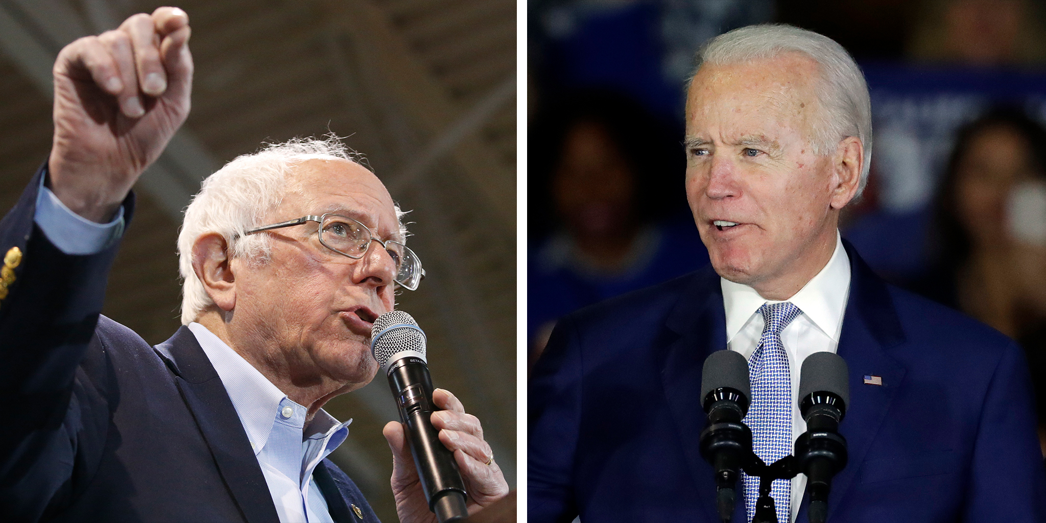 bernie-biden-diptych