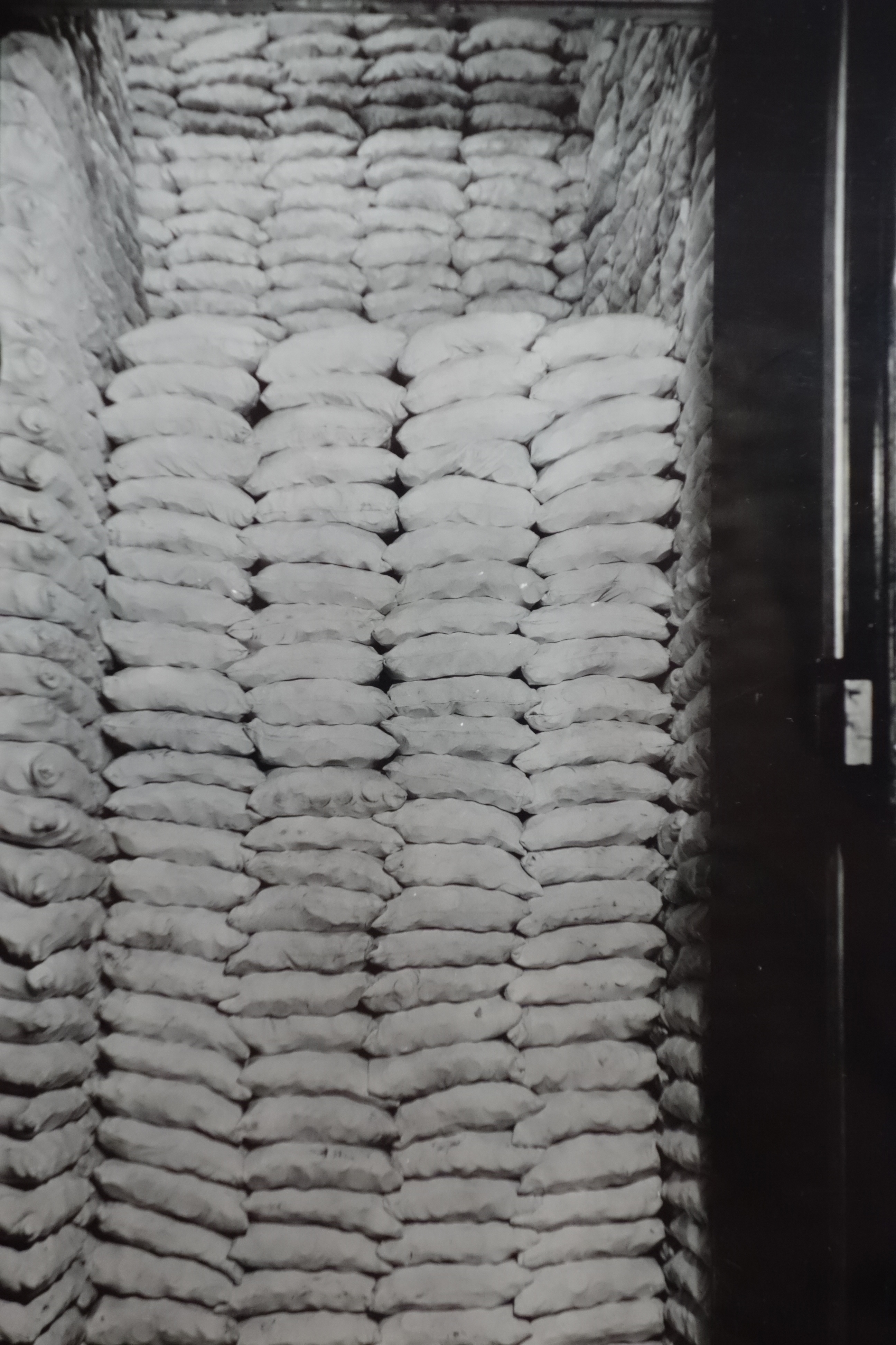 This is a photograph of a photograph of money in the San Francisco branch of the U.S. mint around the turn of the 20th century. 