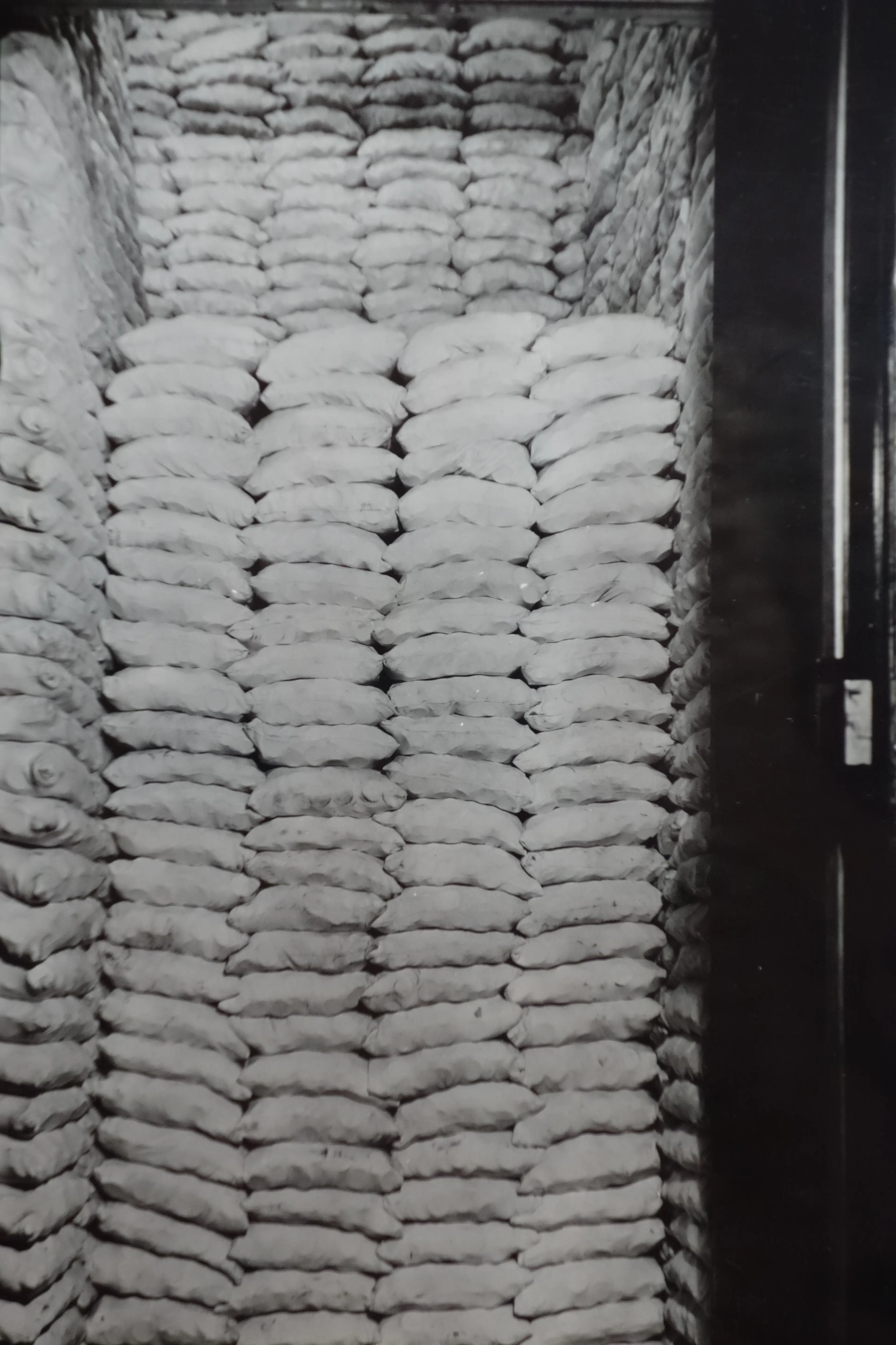 This is a photograph of a photograph of money in the San Francisco branch of the U.S. mint around the turn of the 20th century.