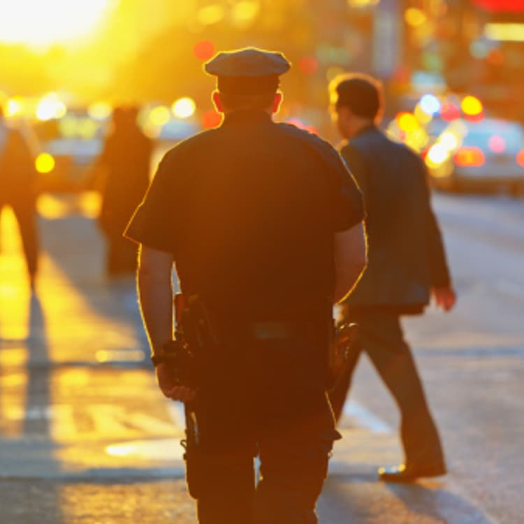 police-rear-view-sunset