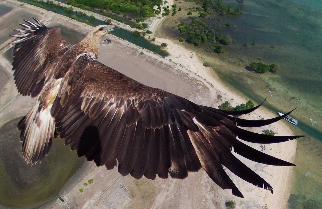 Bali Barat National Park, Indonesia. Taken from 492 feet.