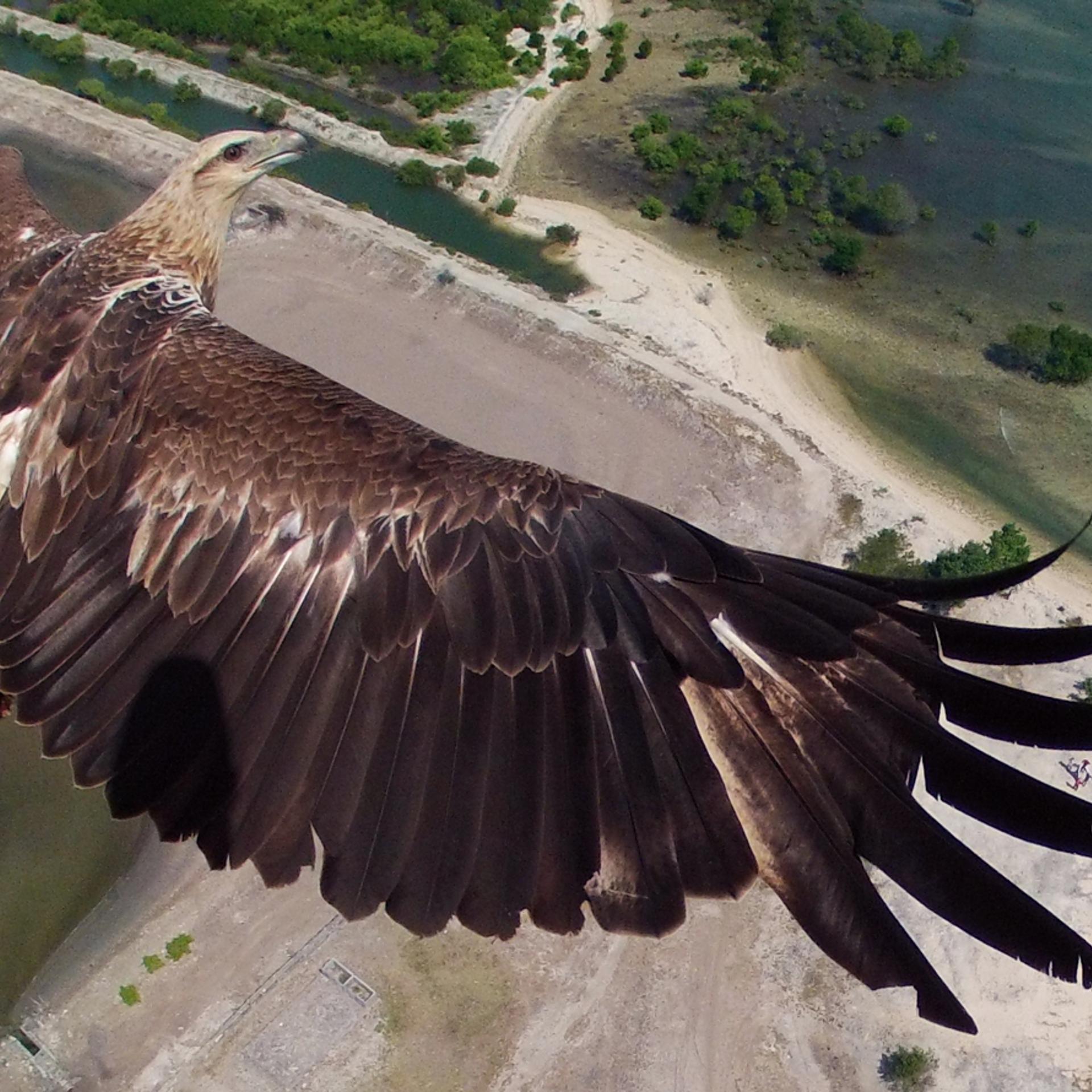 Bali Barat National Park, Indonesia. Taken from 492 feet.