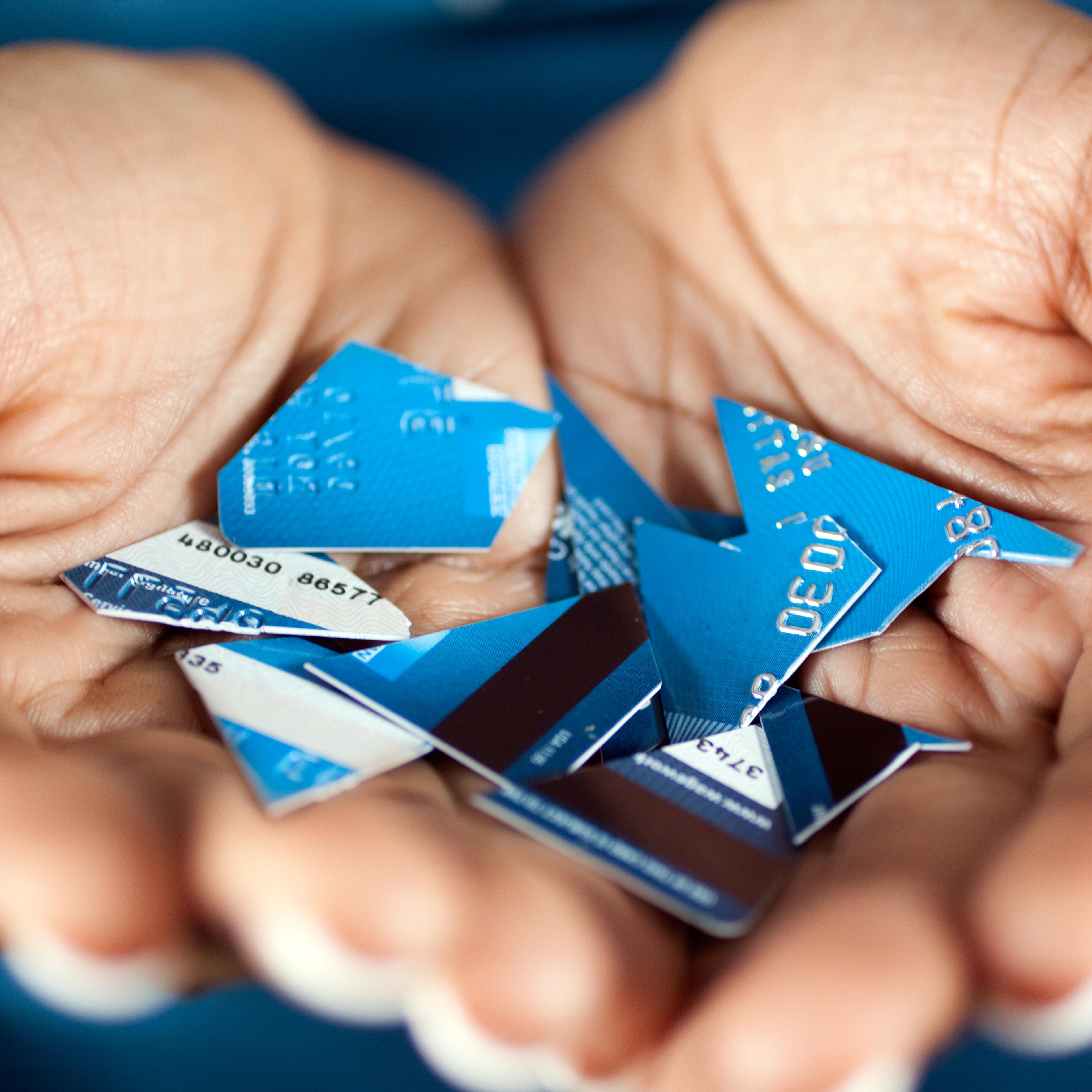 pieces of credit card in hands