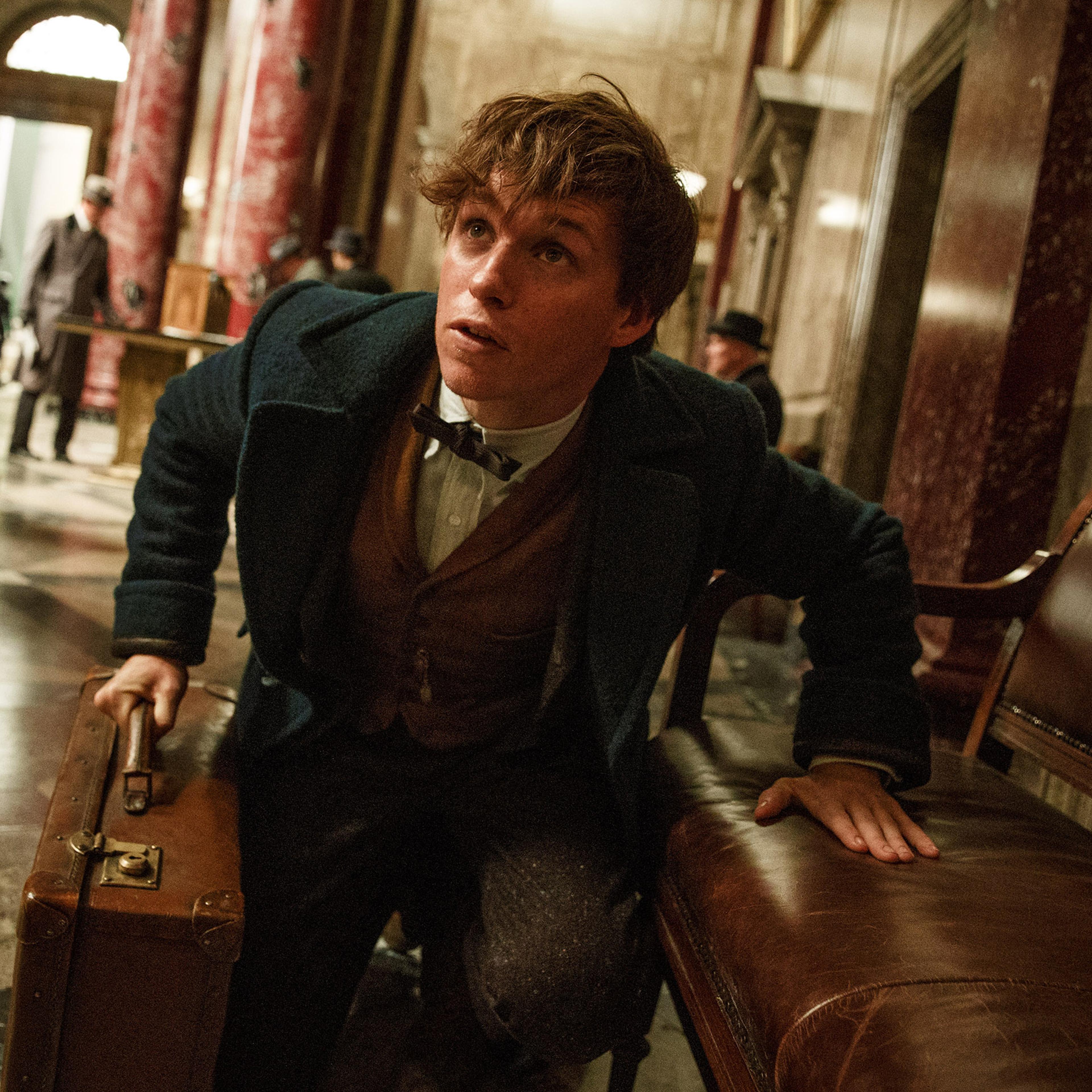 Eddie Redmayne in Fantastic Beasts and Where to Find Them
