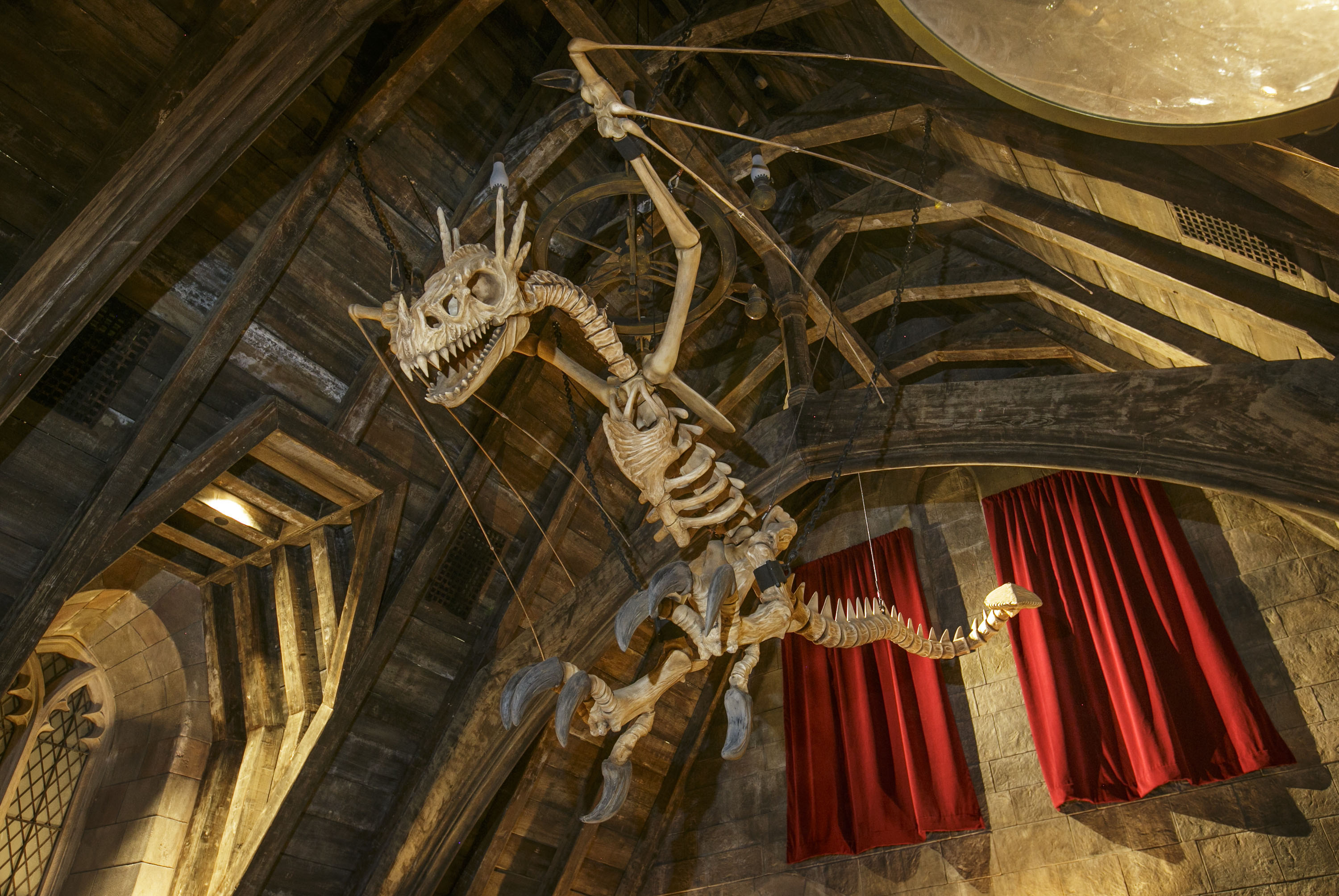 Dragon skeleton in Hogwarts Castle.