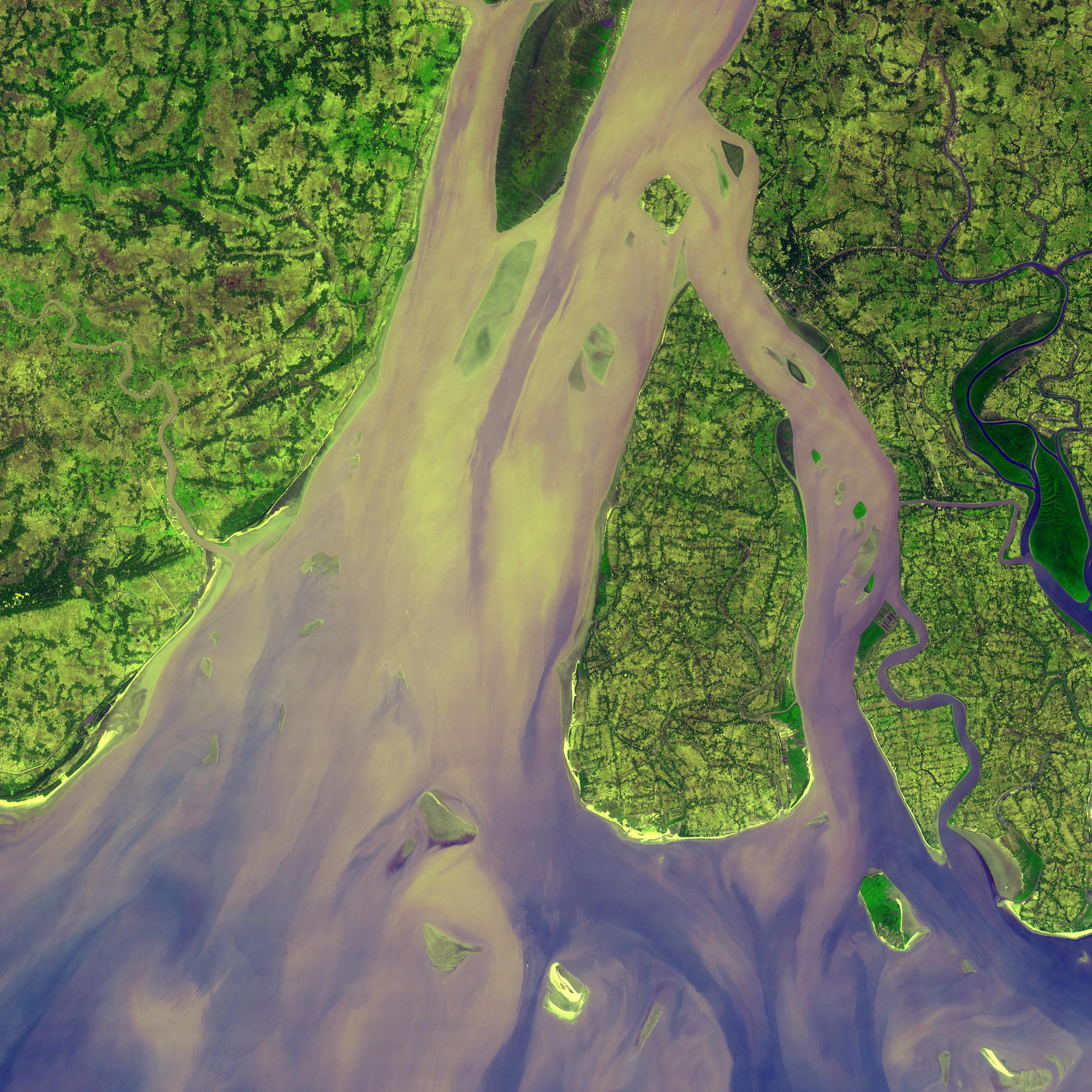 High sediment load in the Hugli River Delta, India, is evident by the light tan colors in the water, particularly downstream from off-shore islands. The deep green colors of some of these islands are mangrove swamps. Image acquired on Jan. 6, 2005.