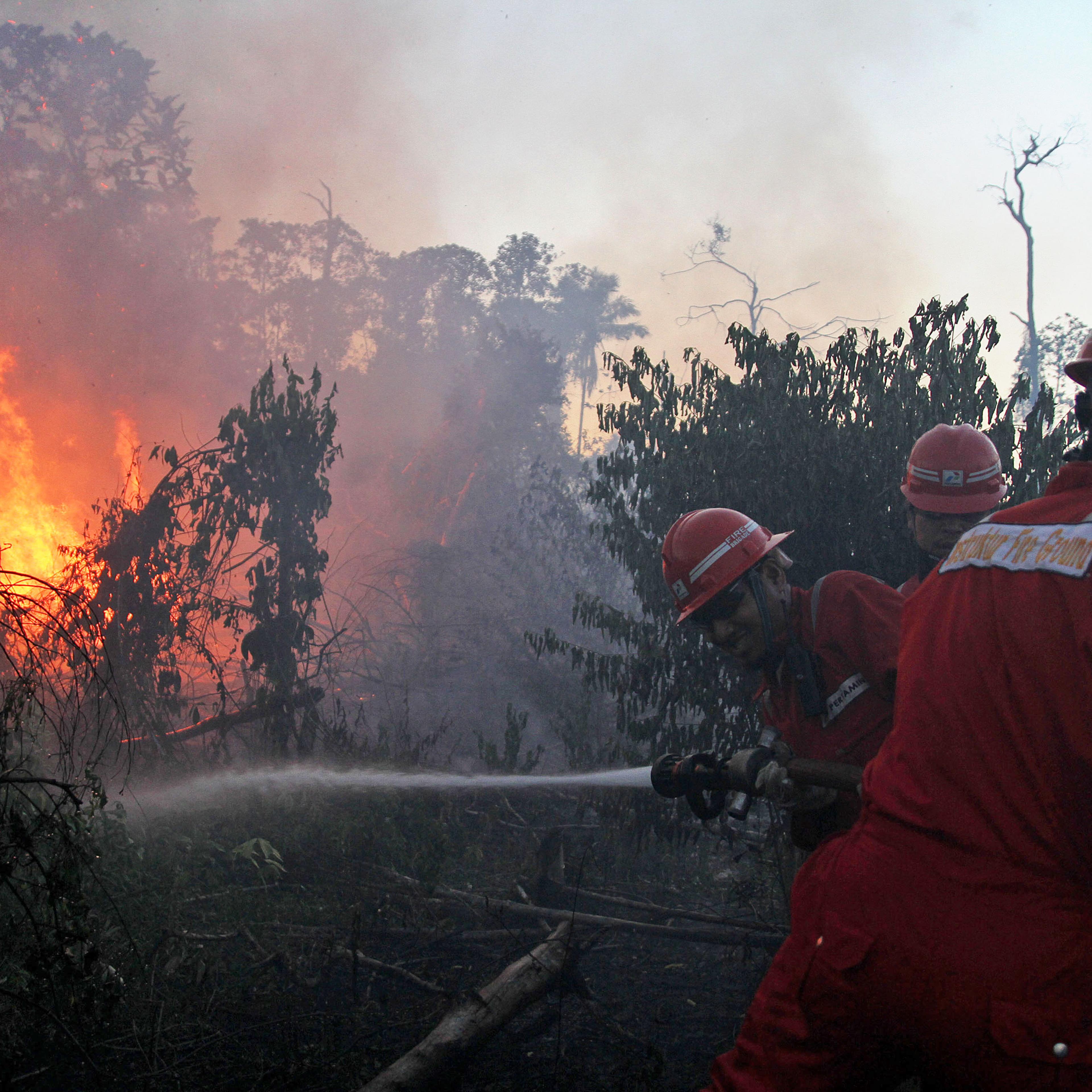 Indonesia Forest Fires